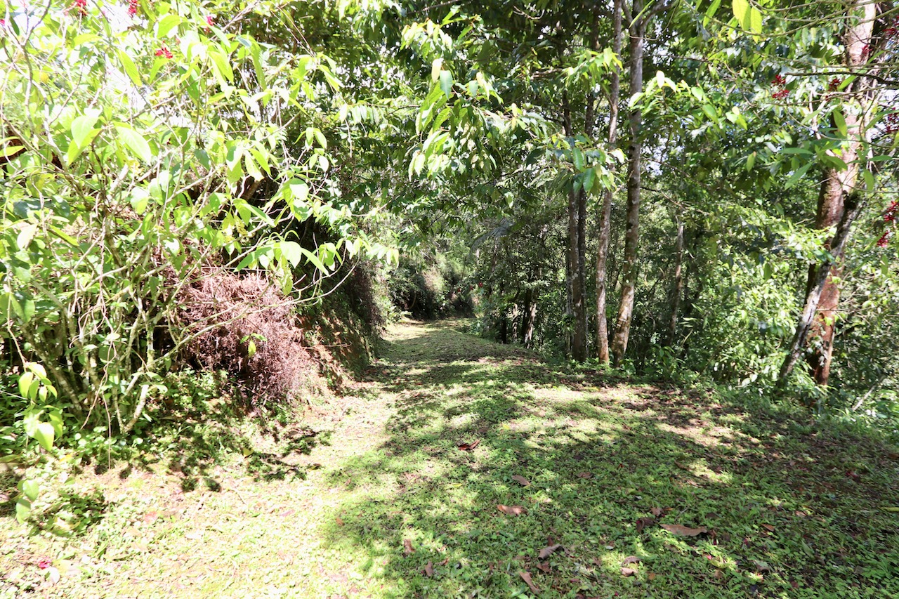 0 bed Land For Sale in Dominical, Puntarenas - thumb 12
