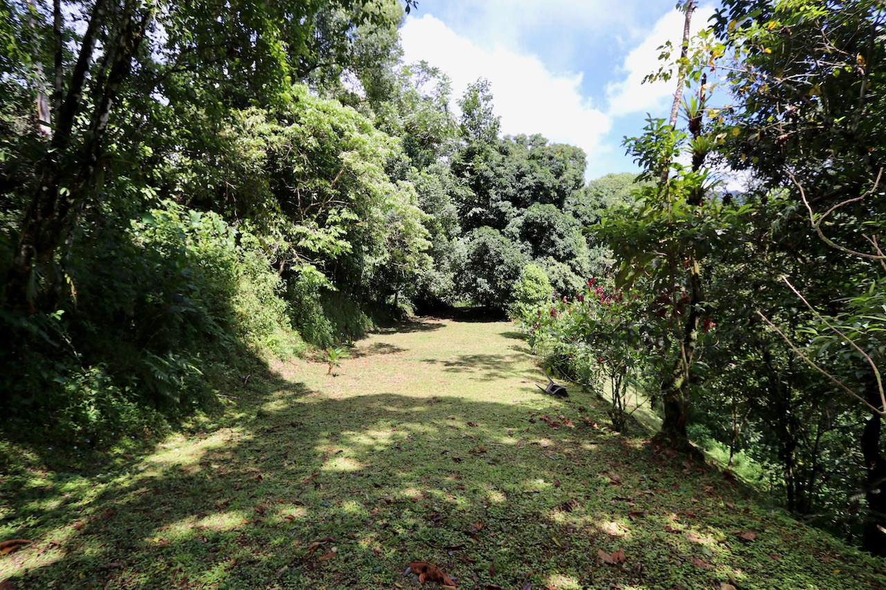 0 bed Land For Sale in Dominical, Puntarenas - thumb 7