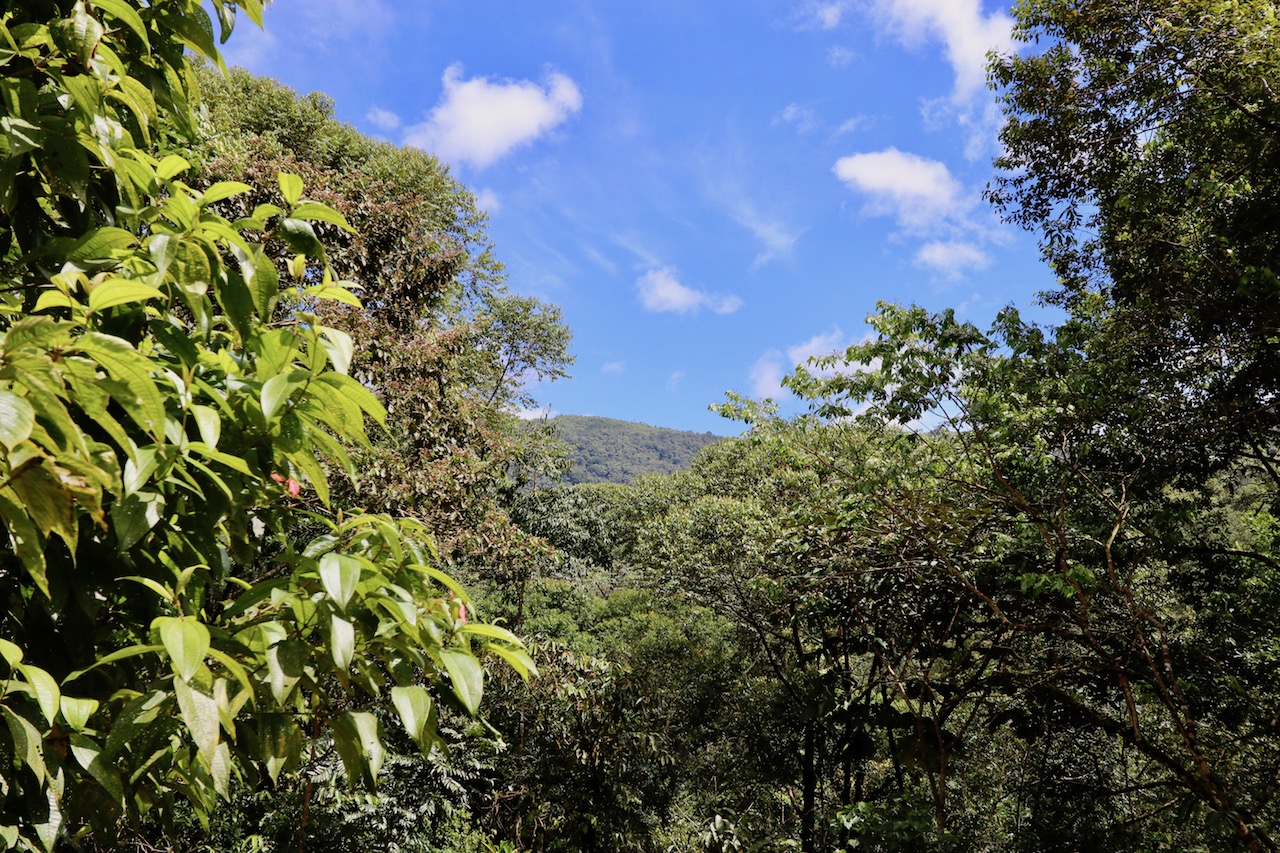 0 bed Land For Sale in Dominical, Puntarenas - thumb 1