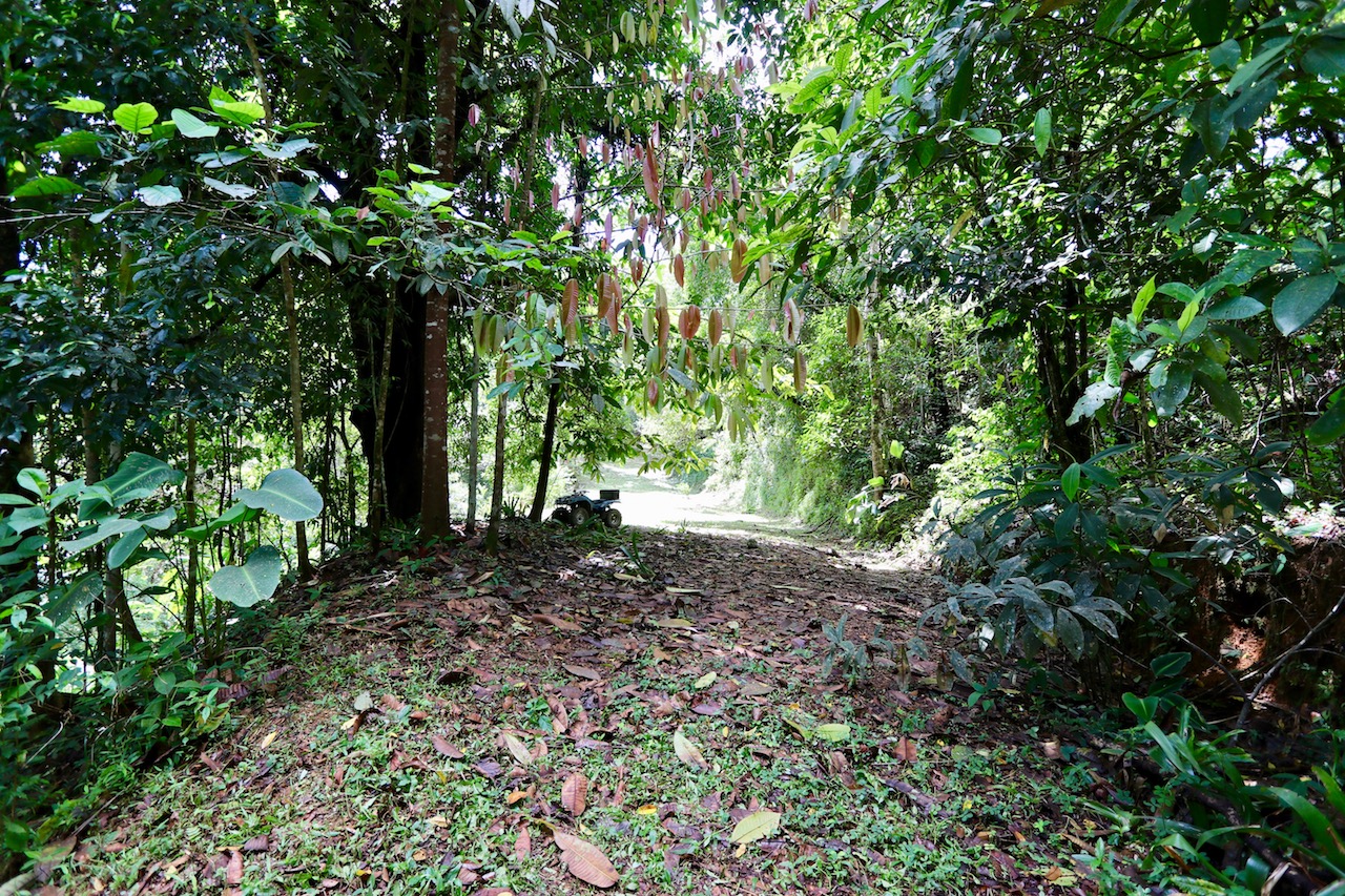 0 bed Land For Sale in Dominical, Puntarenas - thumb 6
