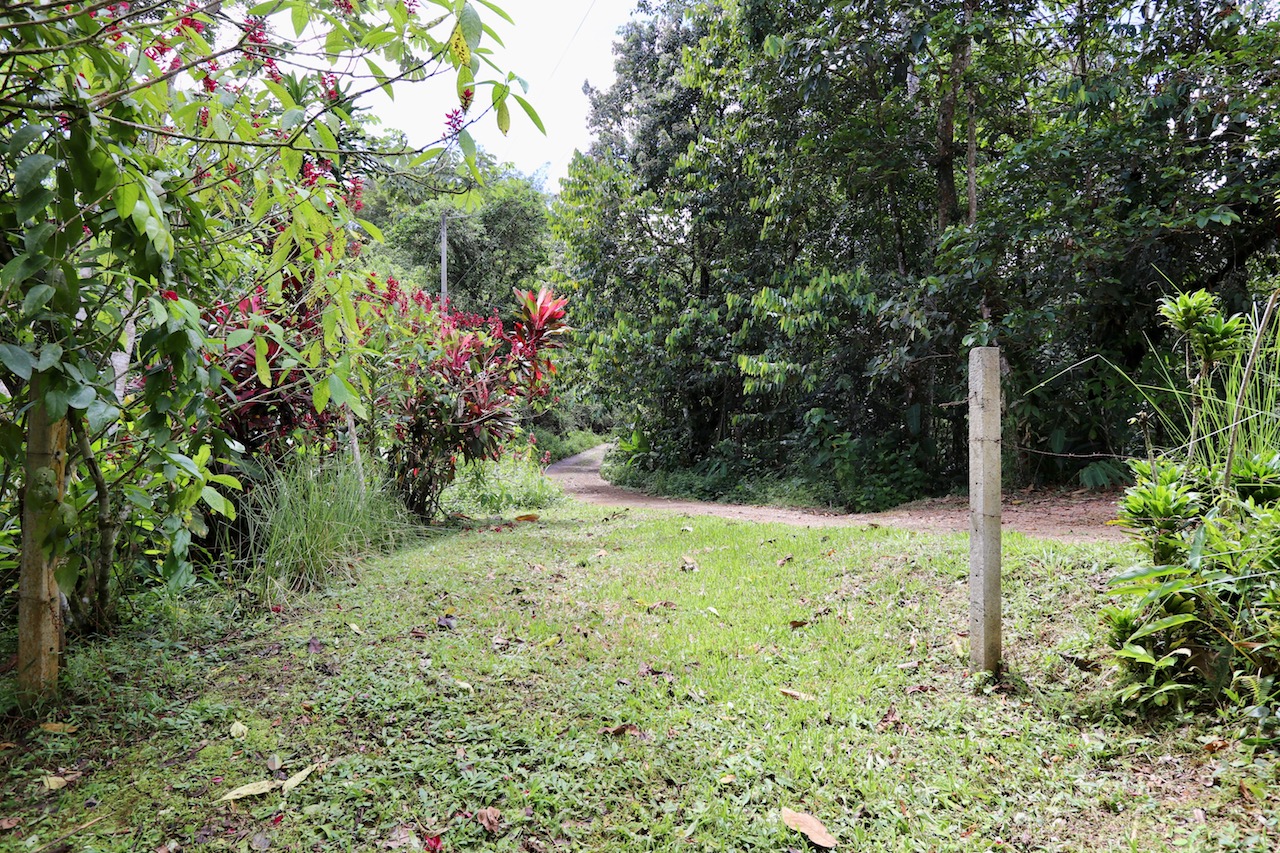 0 bed Land For Sale in Dominical, Puntarenas - thumb 5