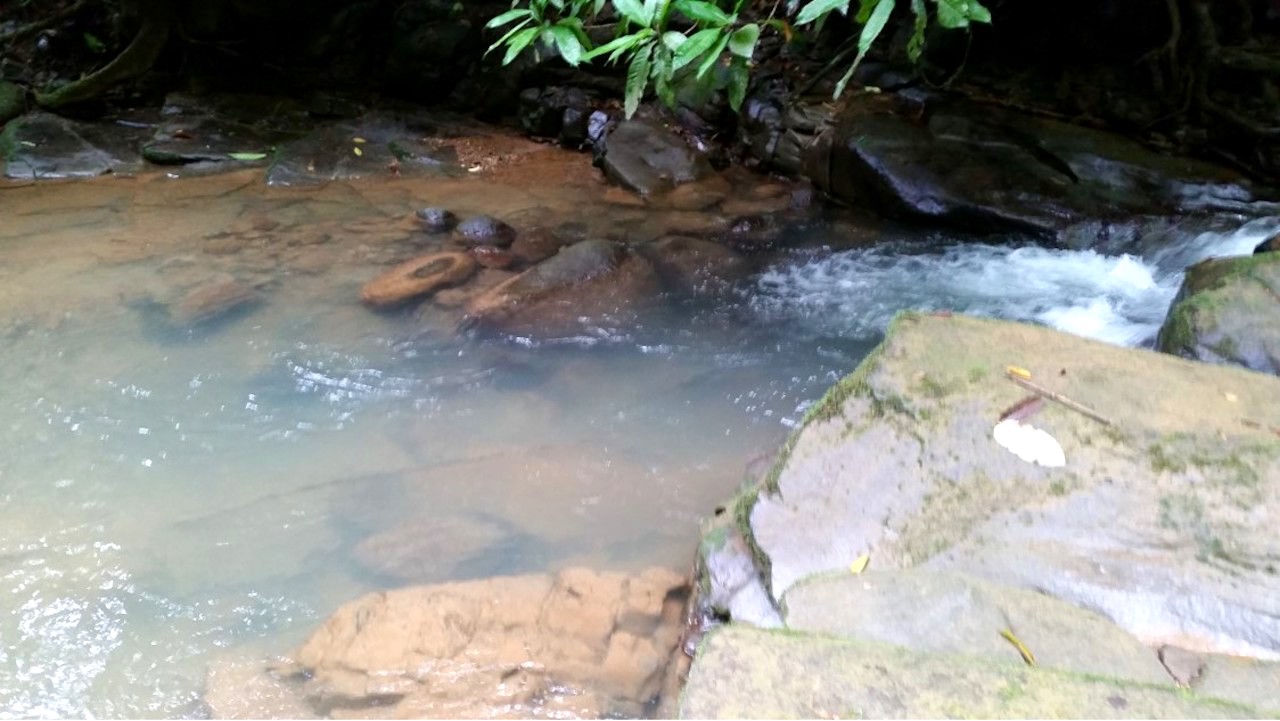 0 bed Land For Sale in Dominical, Puntarenas - thumb 8