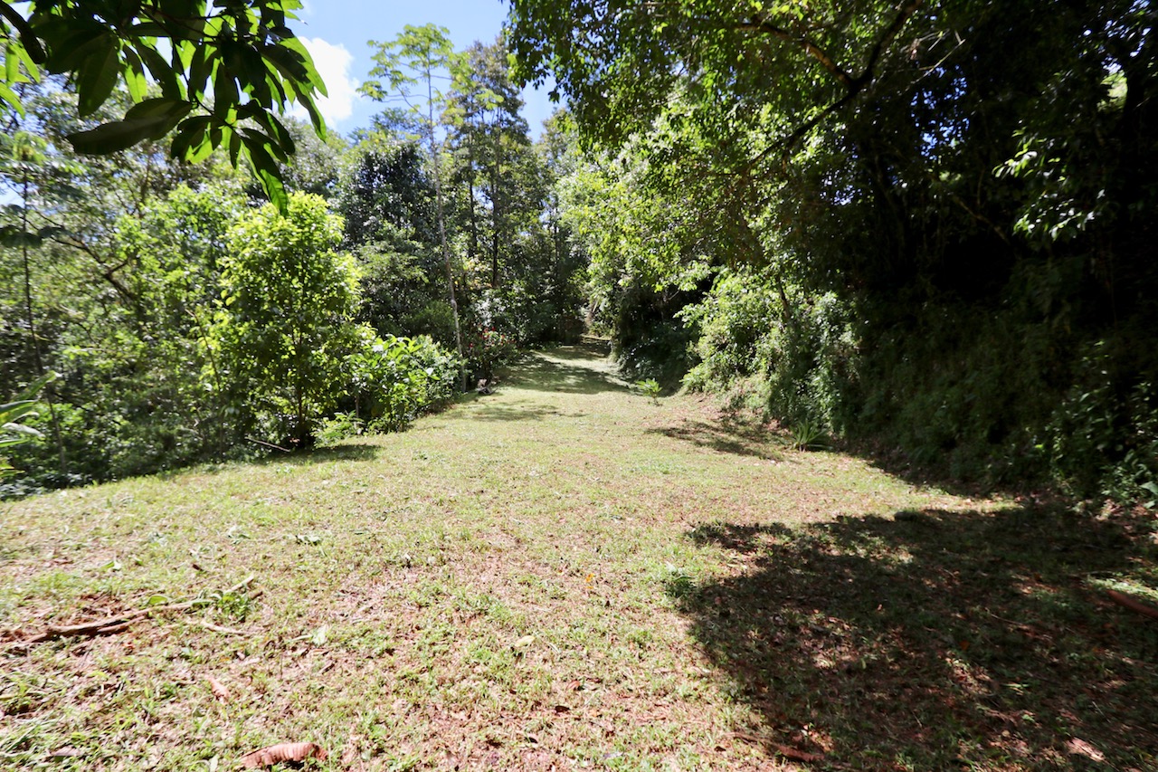 0 bed Land For Sale in Dominical, Puntarenas - thumb 3