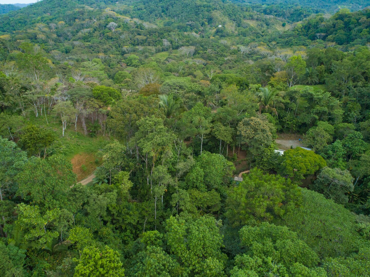 2 bed Single Family Homes For Sale in Dominical, Puntarenas - thumb 28