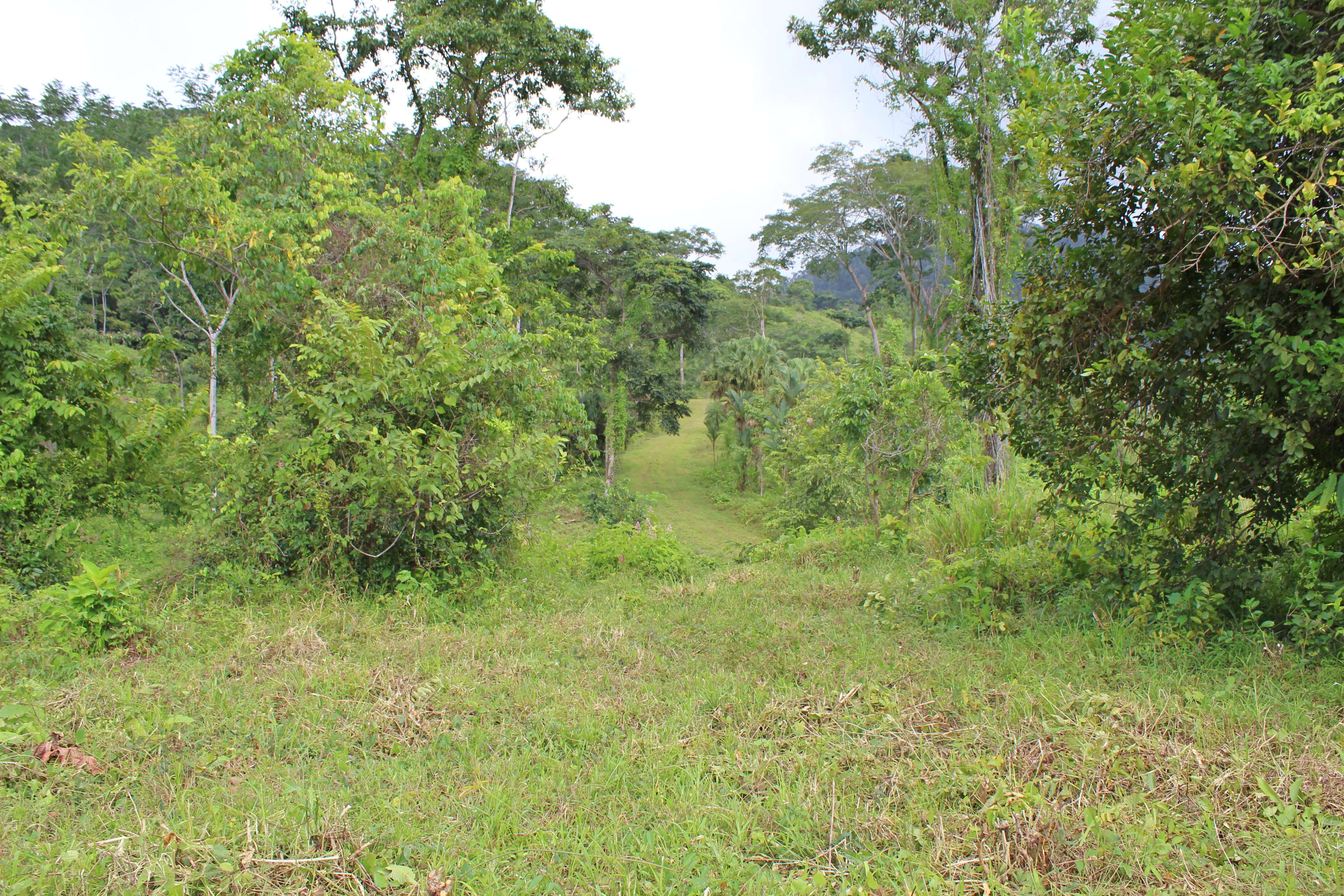 0 bed Land For Sale in Dominical, Puntarenas - thumb 16