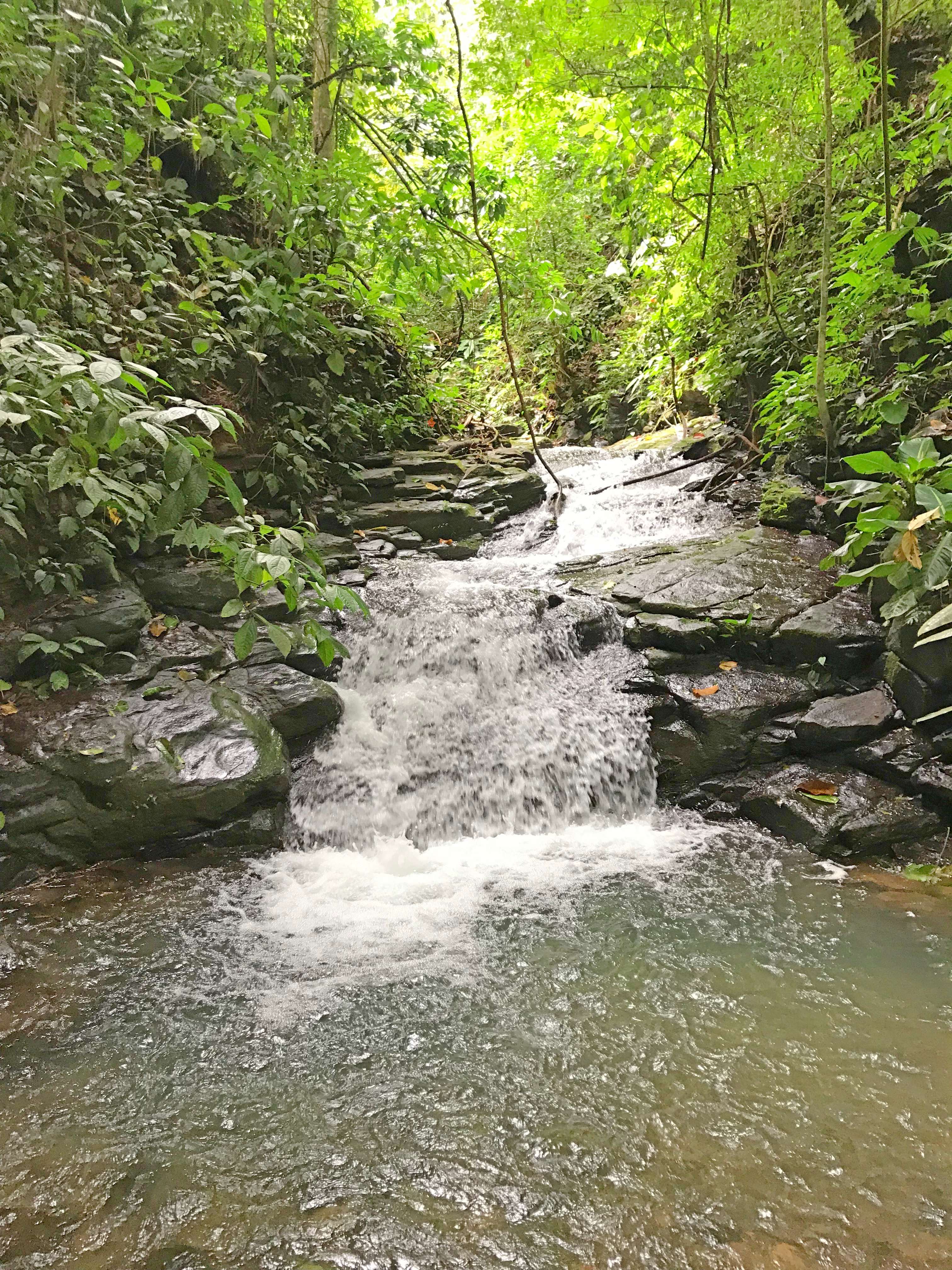 0 bed Land For Sale in Dominical, Puntarenas - thumb 21