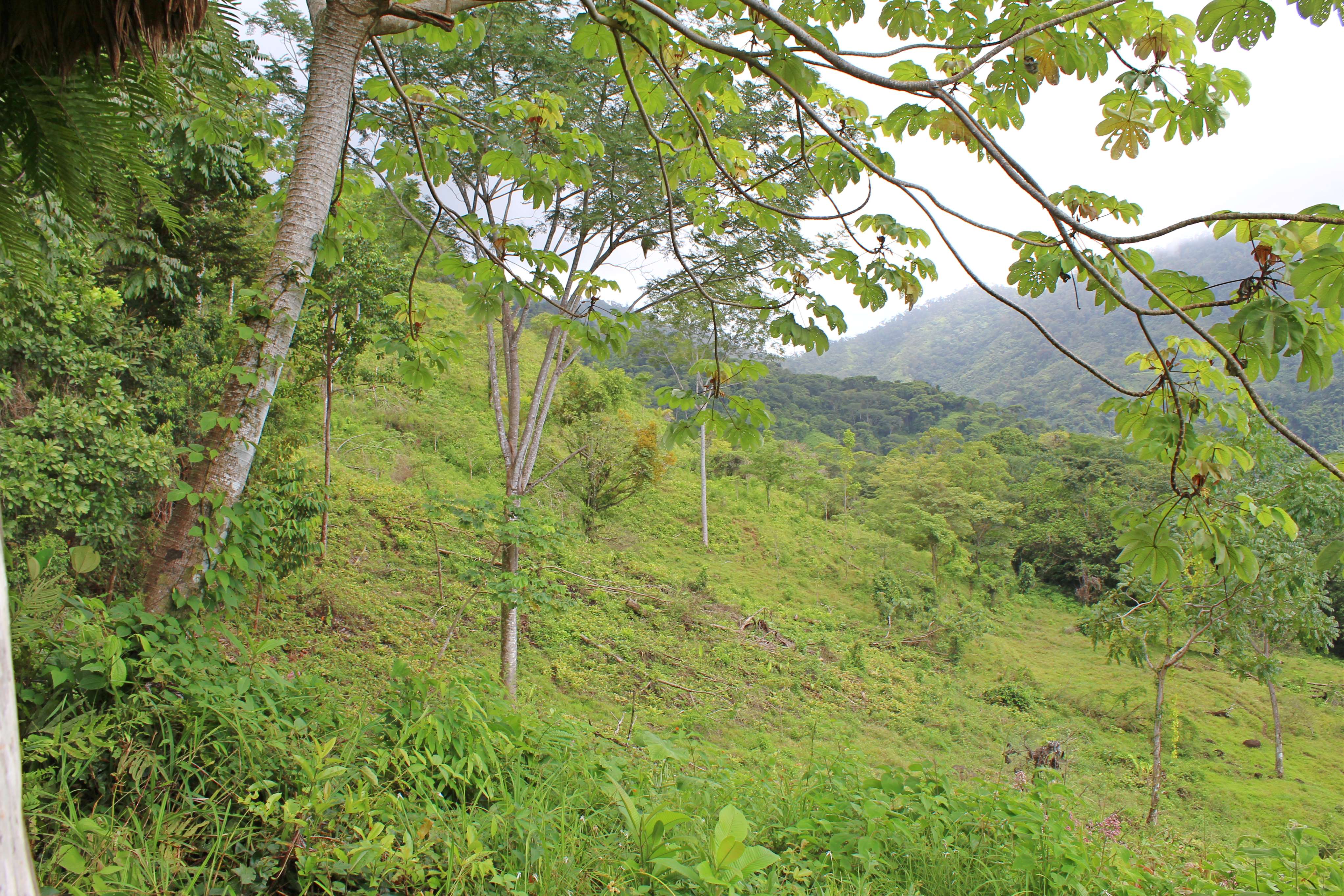 0 bed Land For Sale in Dominical, Puntarenas - thumb 18