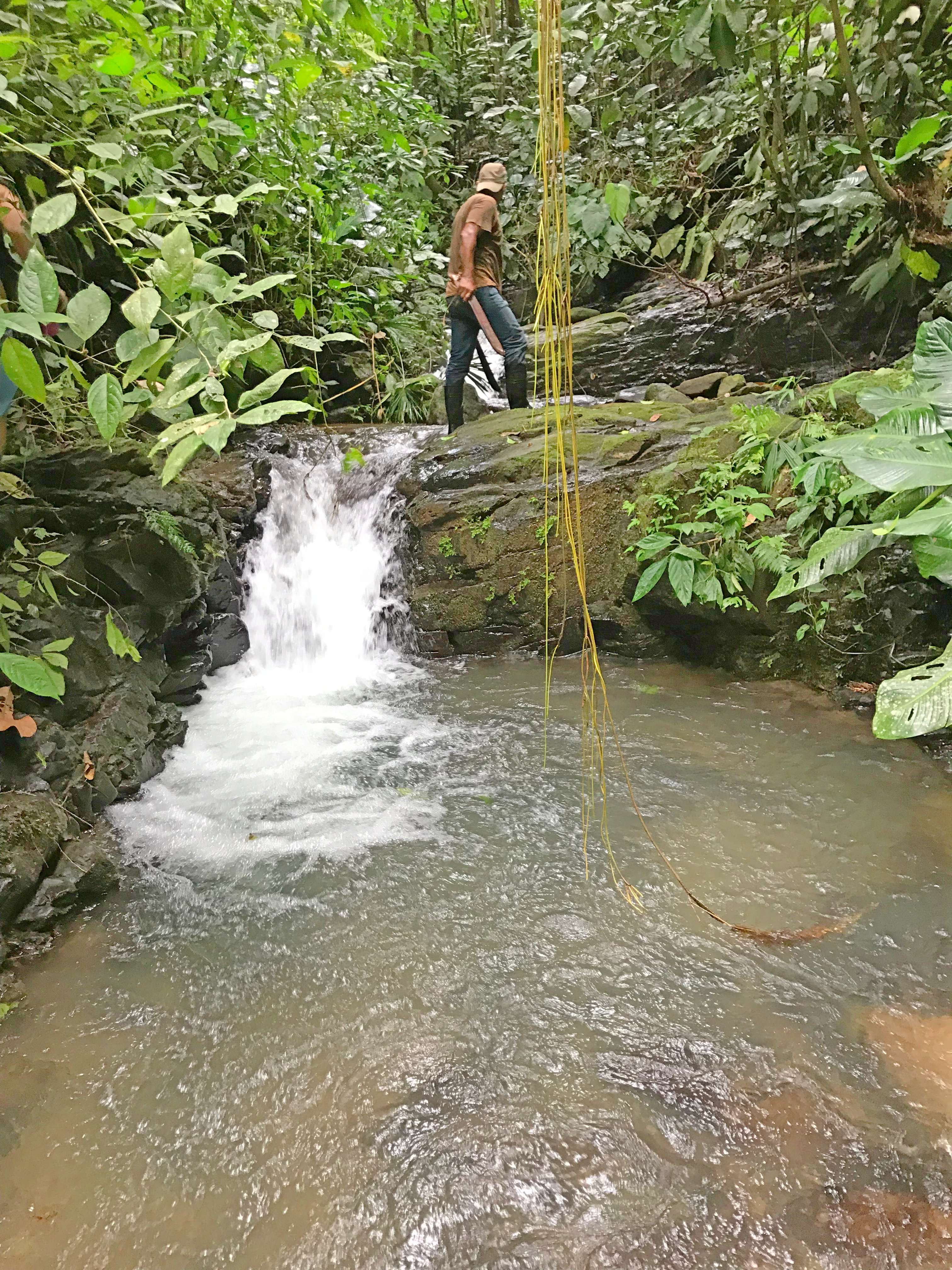 0 bed Land For Sale in Dominical, Puntarenas - thumb 23