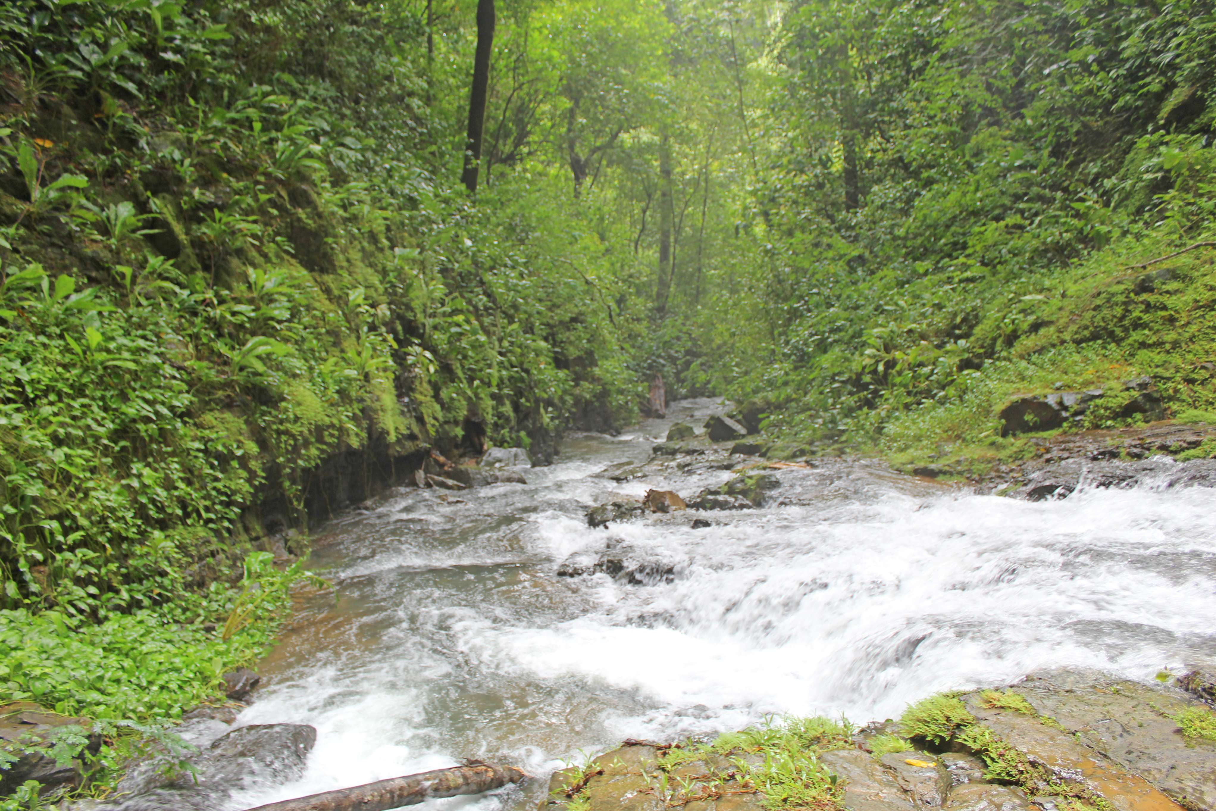 0 bed Land For Sale in Dominical, Puntarenas - thumb 19