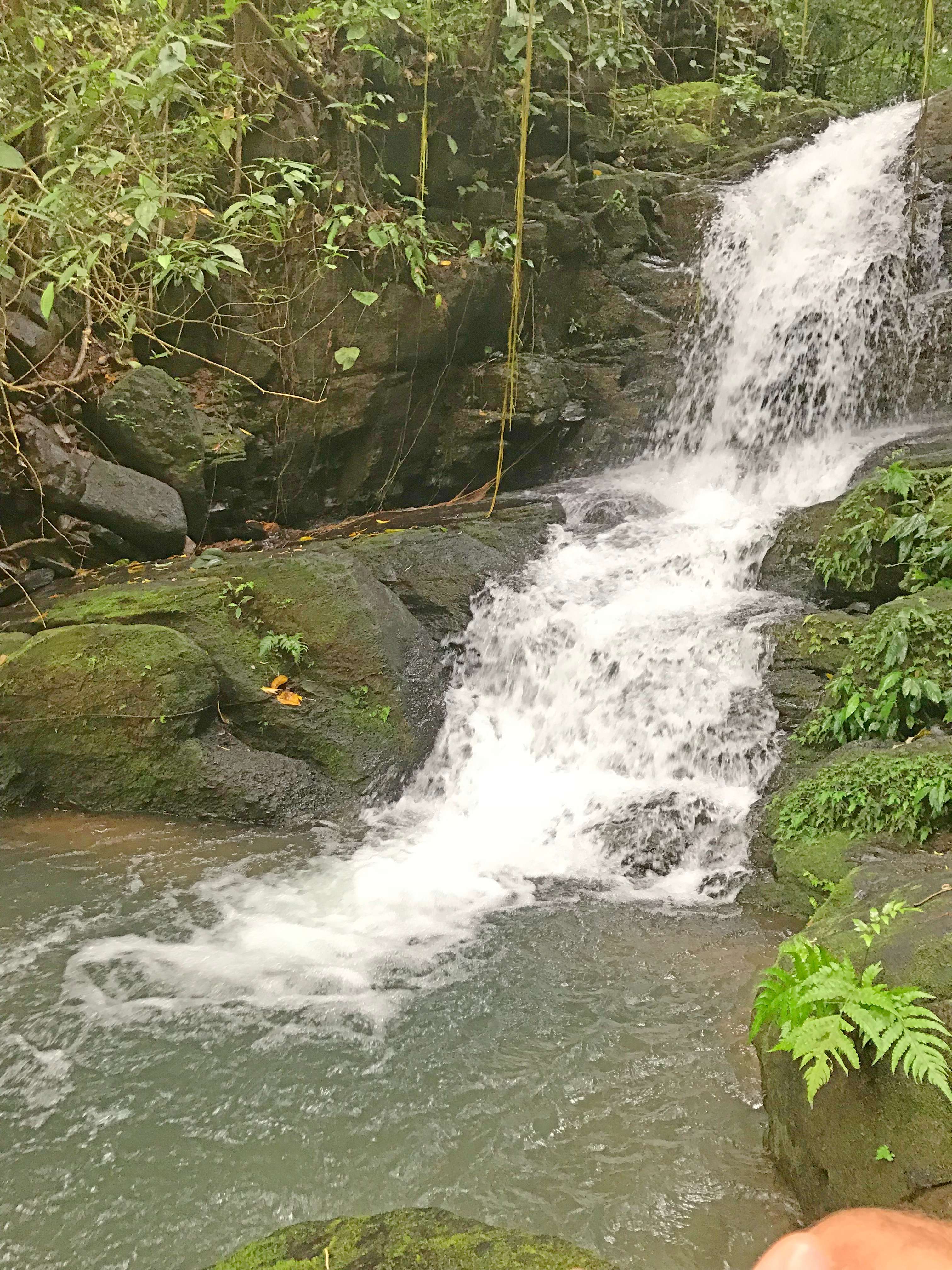 0 bed Land For Sale in Dominical, Puntarenas - thumb 22