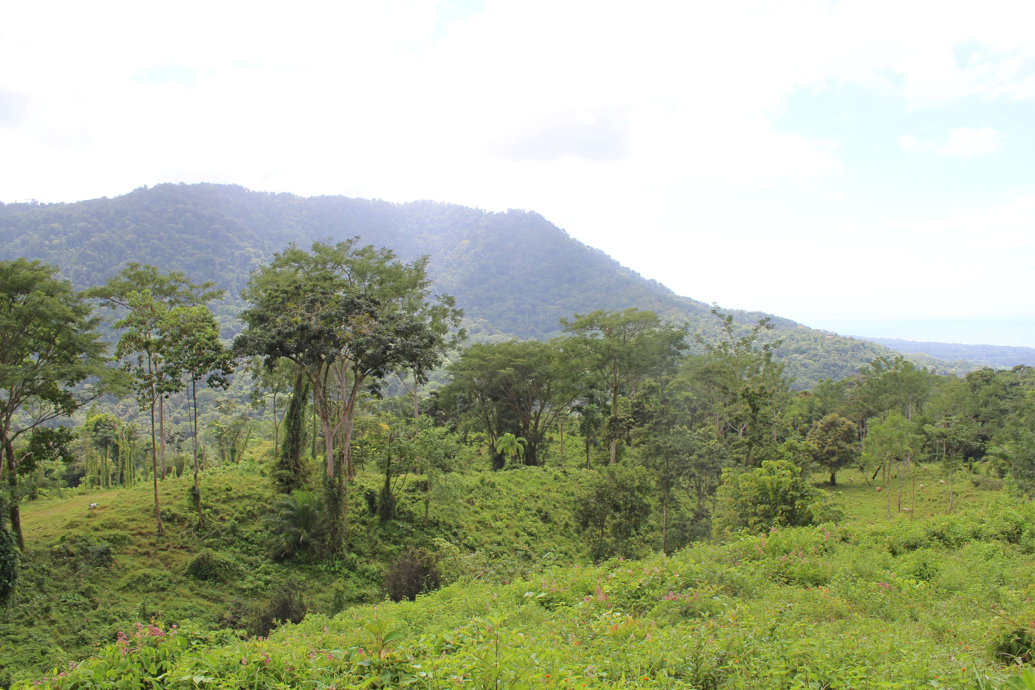 0 bed Land For Sale in Dominical, Puntarenas - thumb 17