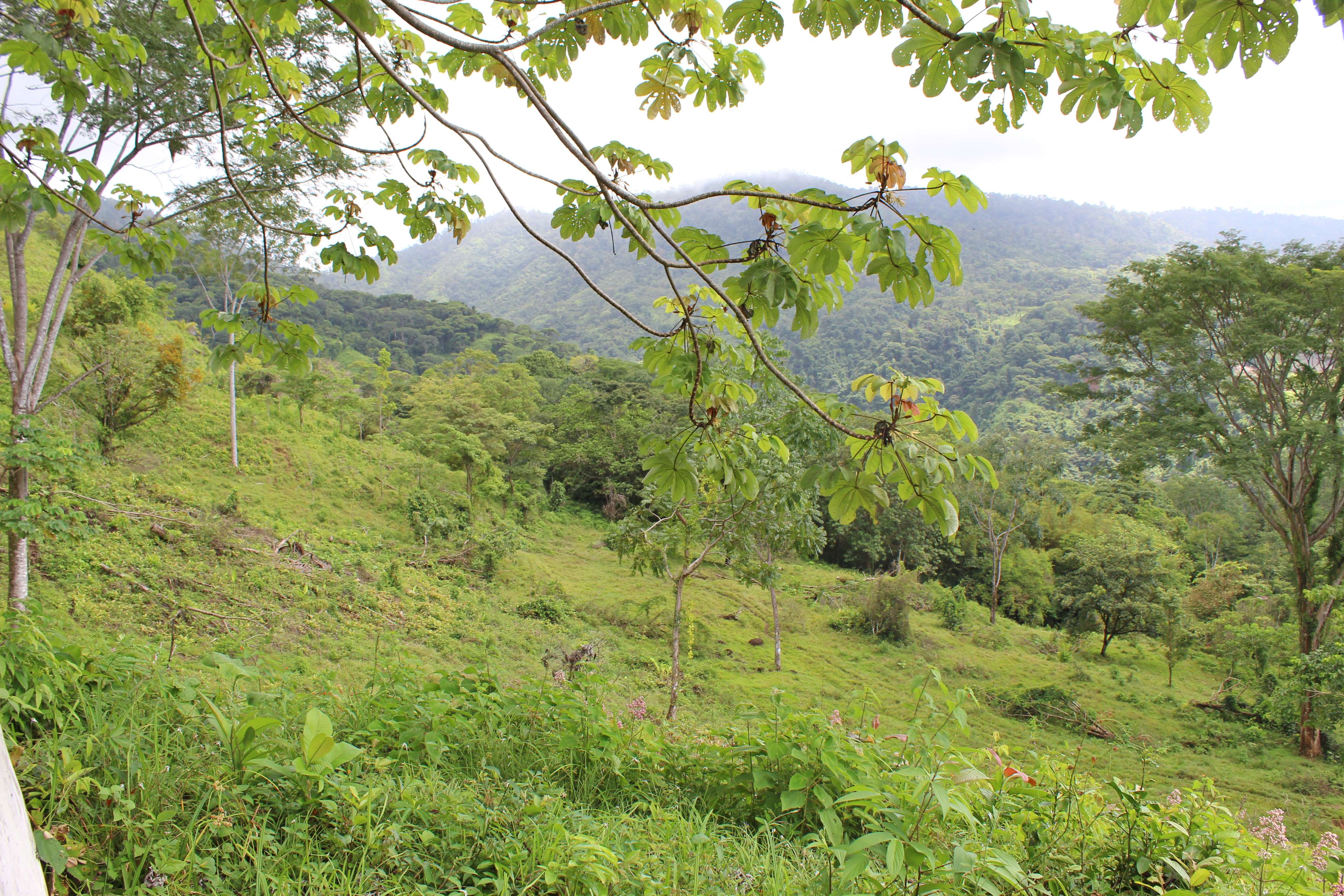 0 bed Land For Sale in Dominical, Puntarenas - thumb 20