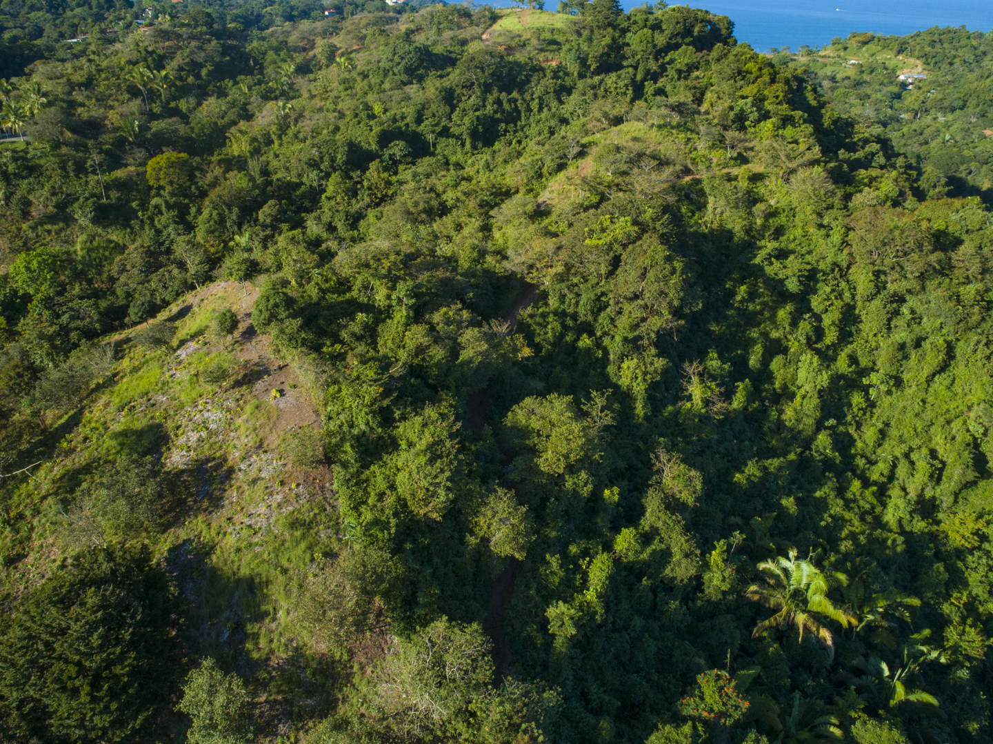 0 bed Land For Sale in Manuel Antonio, Puntarenas - thumb 10