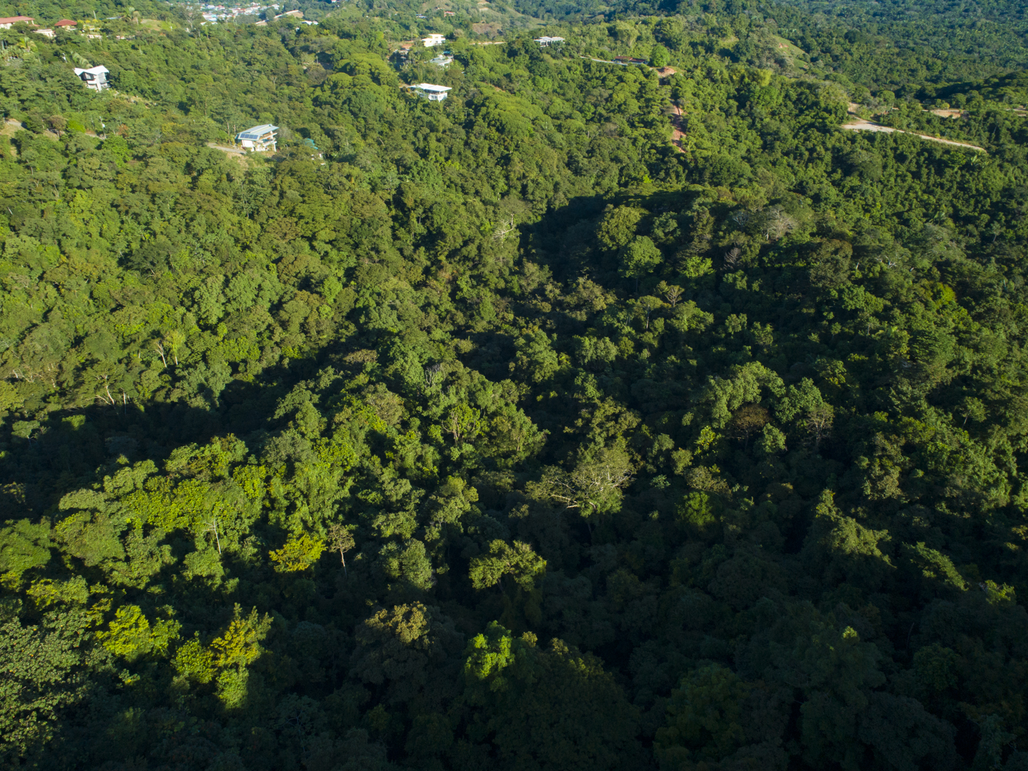 0 bed Land For Sale in Manuel Antonio, Puntarenas - thumb 7