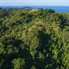  - Iconic Developmental Parcel in Manuel Antonio