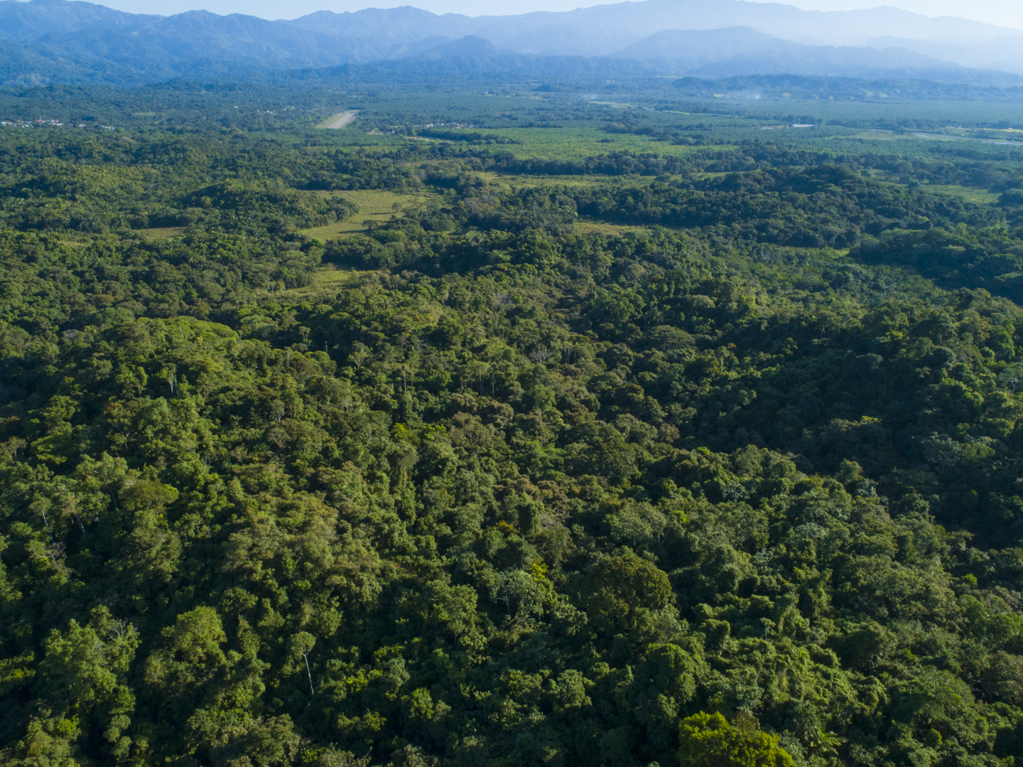 0 bed Land For Sale in Manuel Antonio, Puntarenas - thumb 17