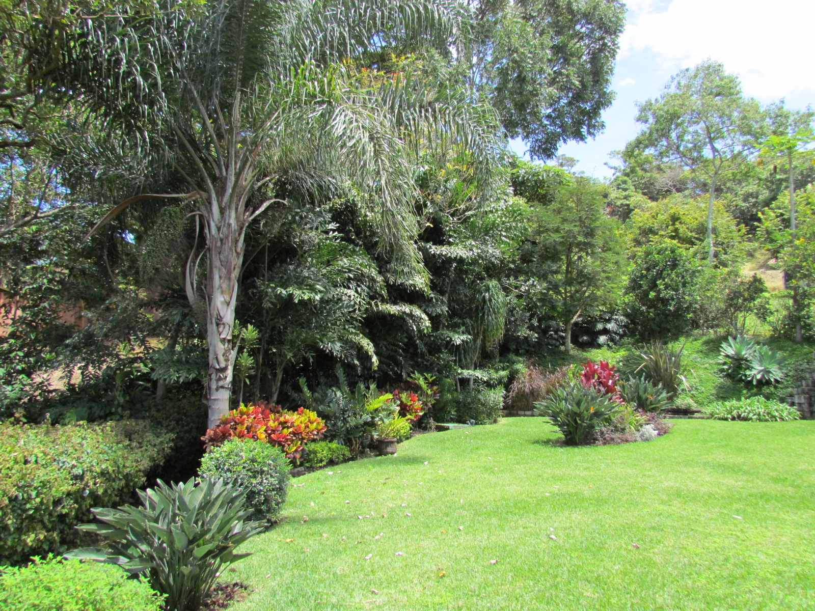 3 bed Single Family Homes For Rent in Escazu, San Jose - thumb 24