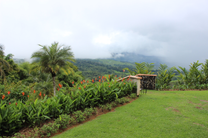 3 bed Single Family Homes For Sale in Dominical, Puntarenas - thumb 9