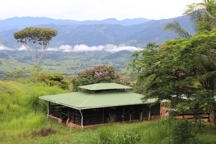 3 bed Single Family Homes For Sale in Dominical, Puntarenas - thumb 13
