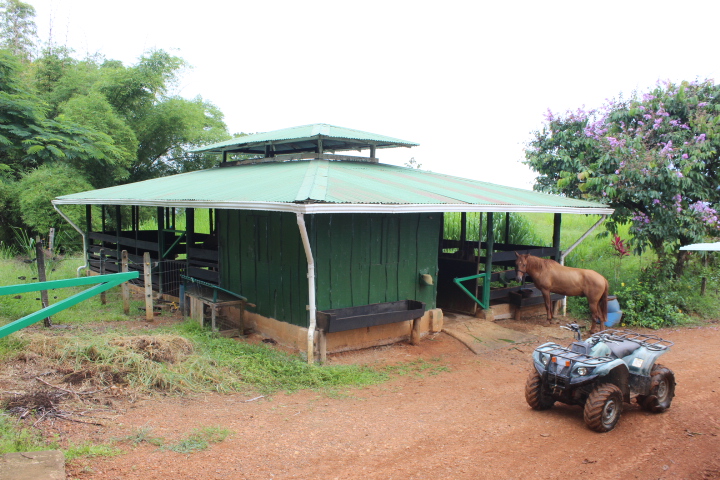 3 bed Single Family Homes For Sale in Dominical, Puntarenas - thumb 14