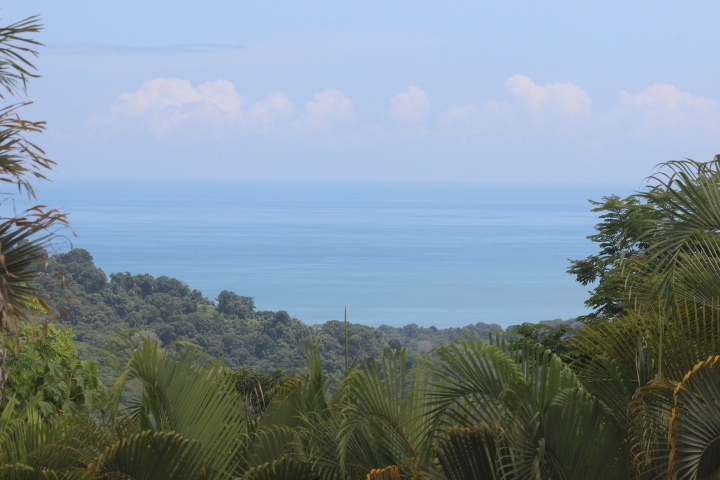 3 bed Single Family Homes For Sale in Dominical, Puntarenas - thumb 12