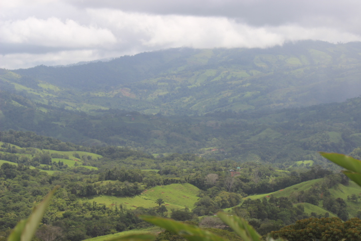 3 bed Single Family Homes For Sale in Dominical, Puntarenas - thumb 11