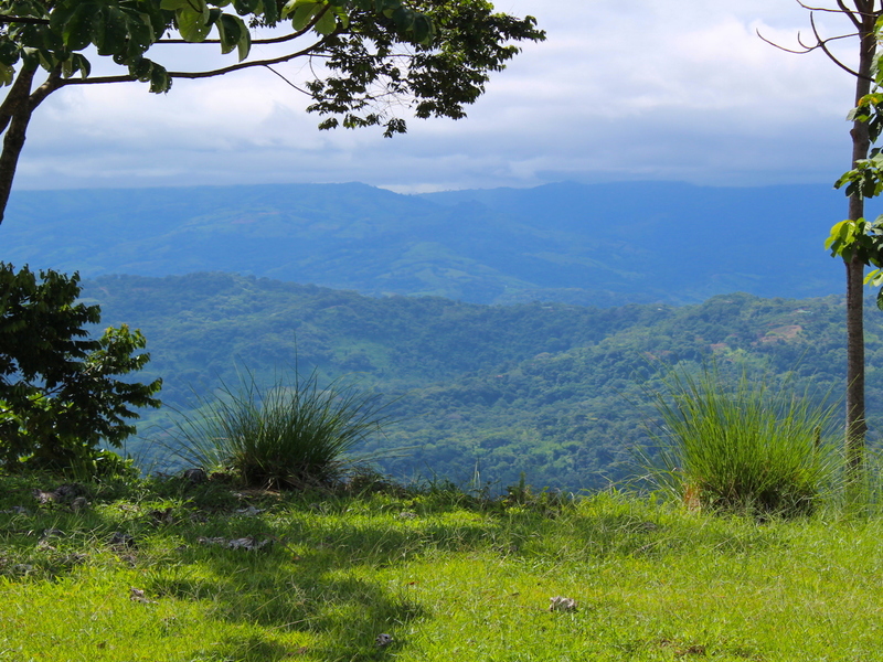 0 bed Land For Sale in Dominical, Puntarenas - thumb 6