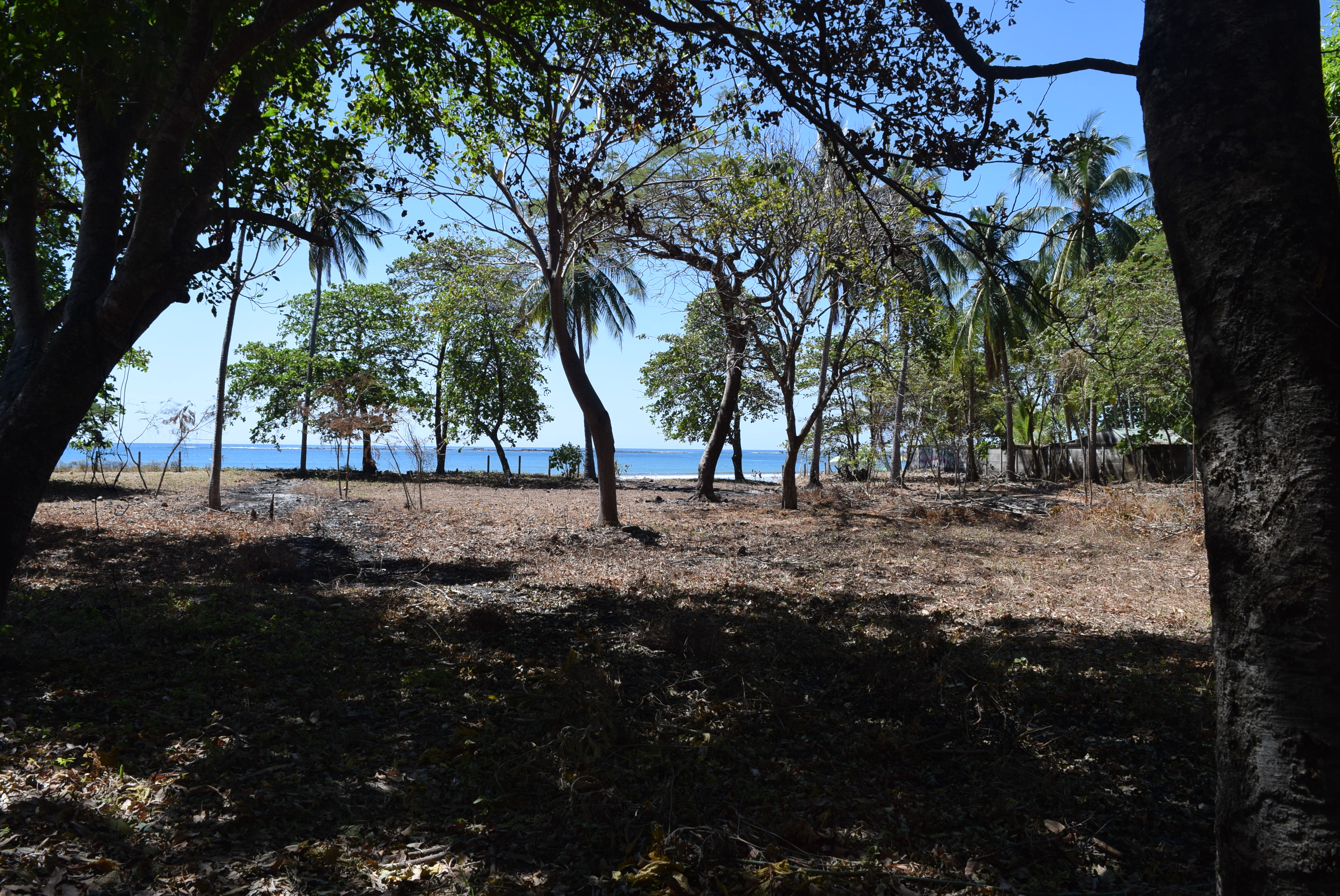 0 bed Land For Sale in Samara, Guanacaste - thumb 8
