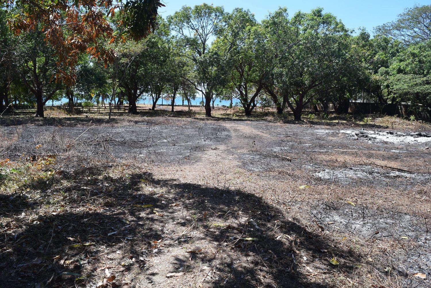 0 bed Land For Sale in Samara, Guanacaste - thumb 13