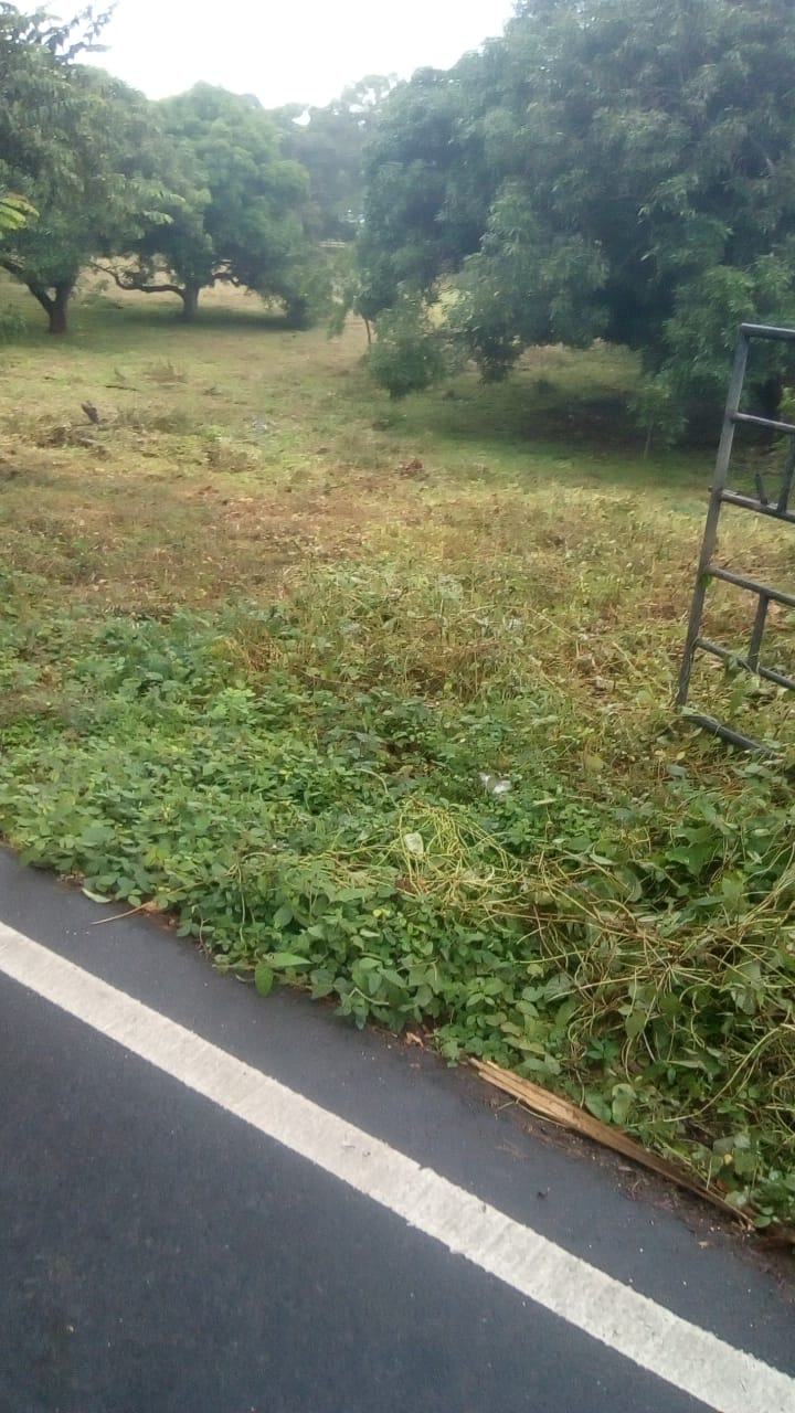 0 bed Land For Sale in Samara, Guanacaste - thumb 9