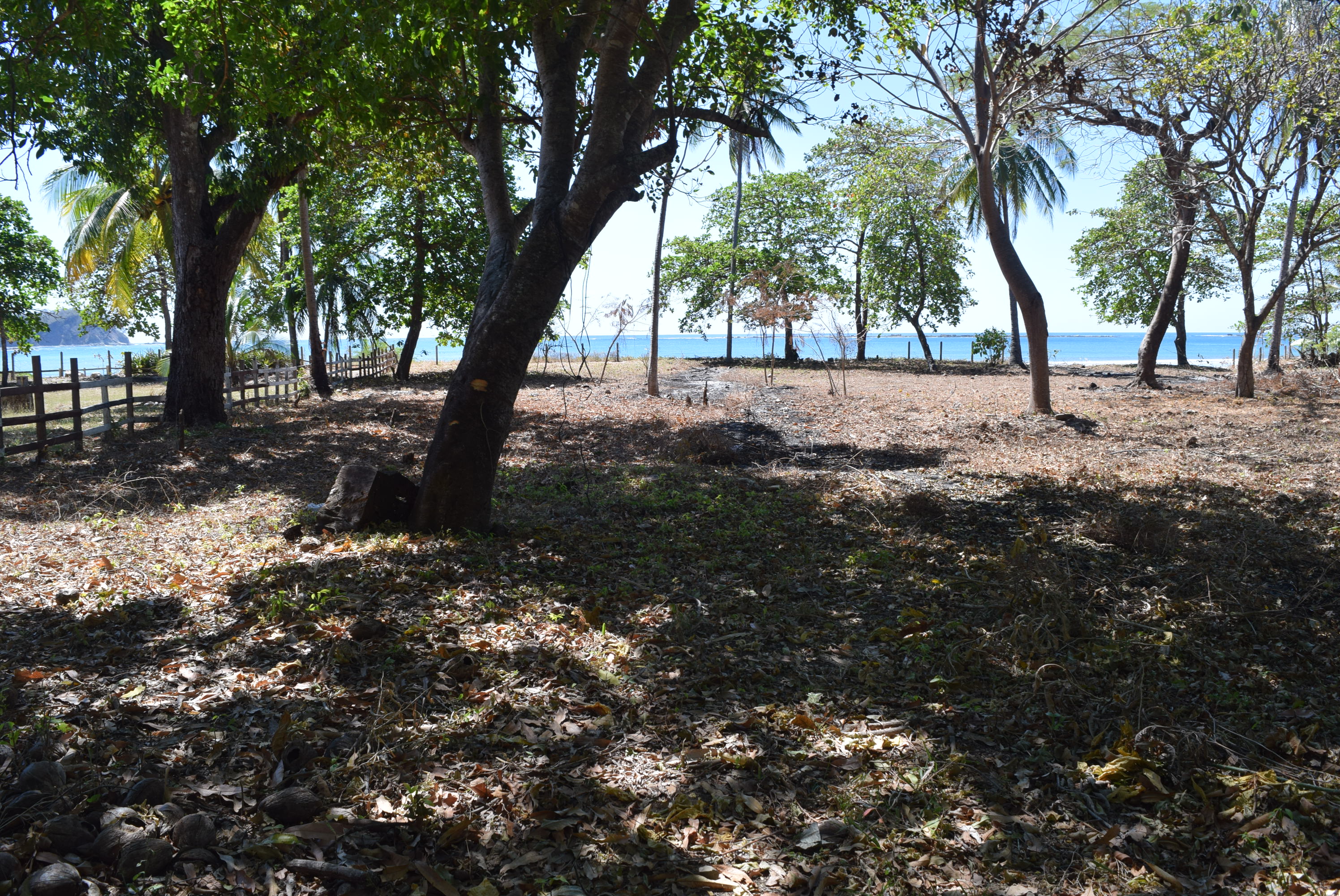 0 bed Land For Sale in Samara, Guanacaste - thumb 3
