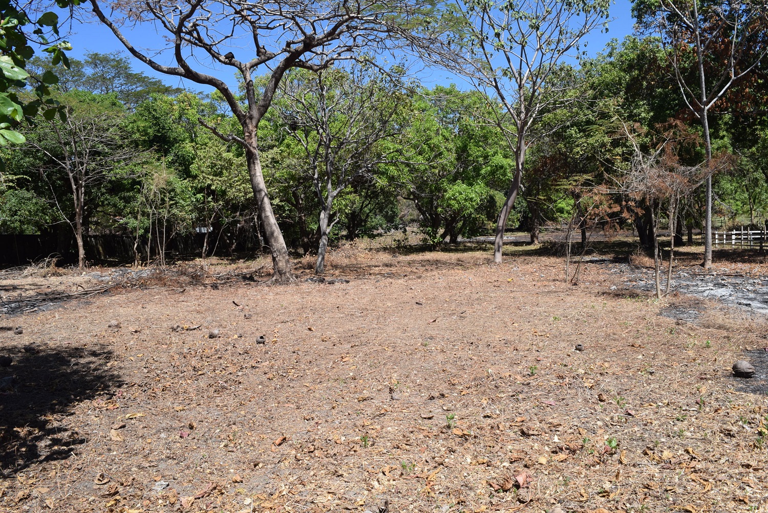 0 bed Land For Sale in Samara, Guanacaste - thumb 10