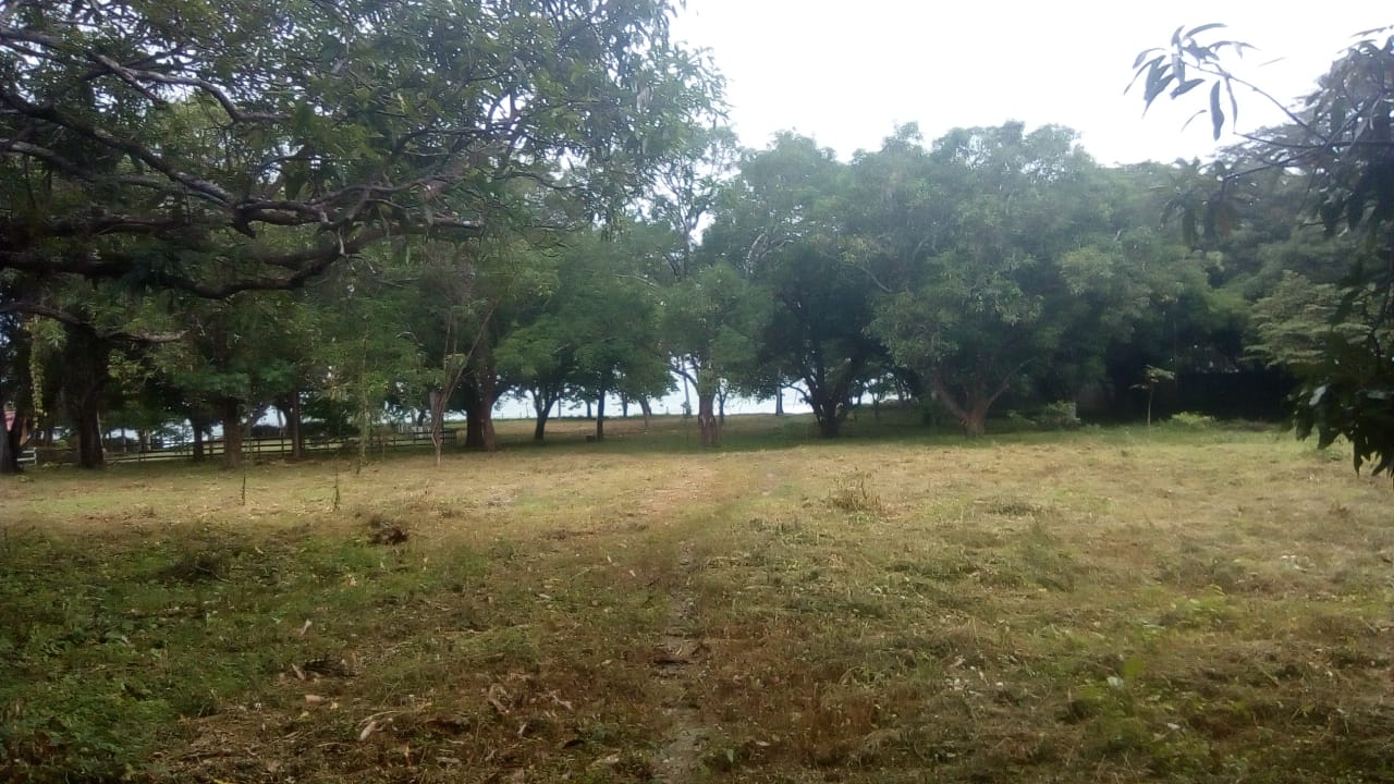 0 bed Land For Sale in Samara, Guanacaste - thumb 7