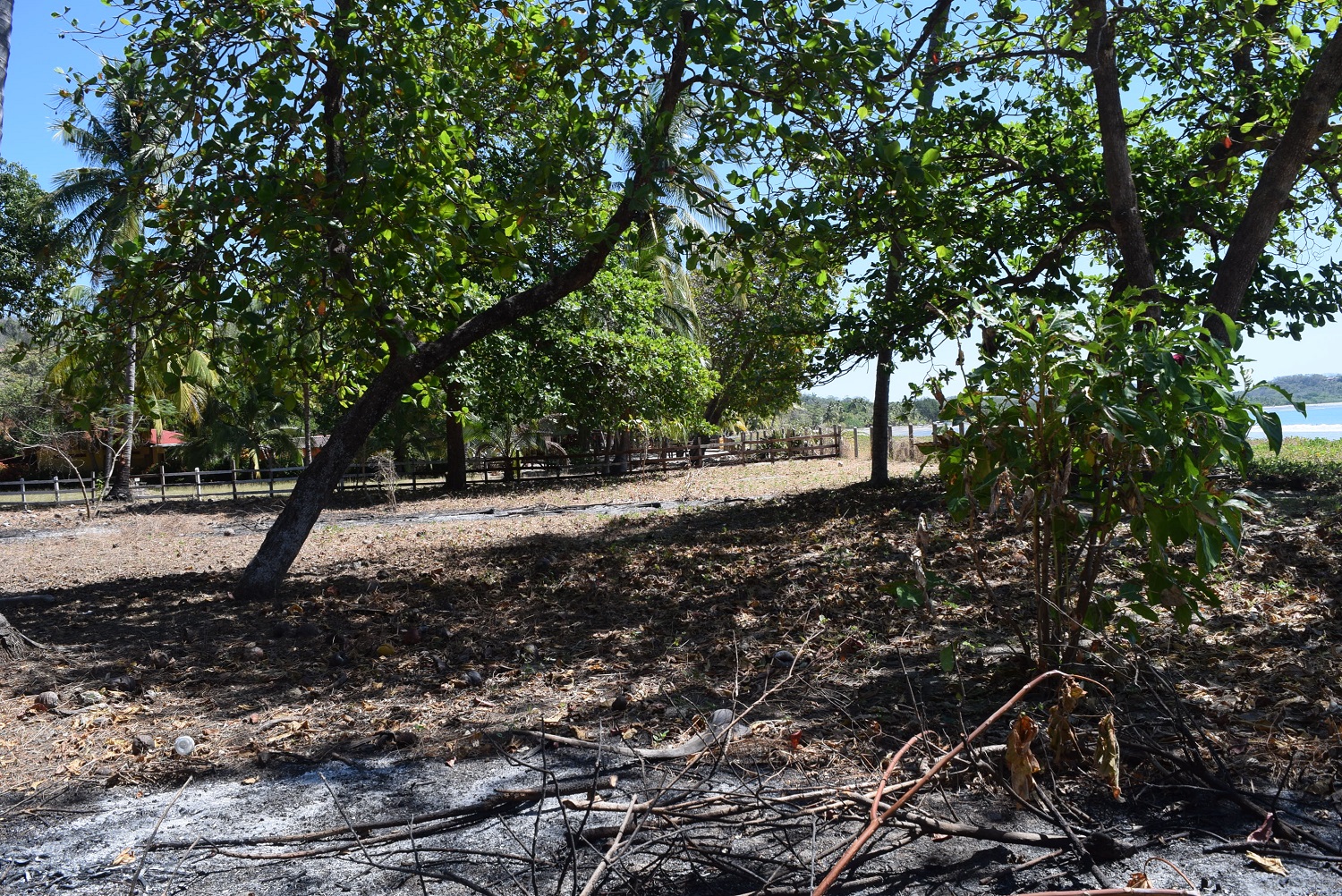 0 bed Land For Sale in Samara, Guanacaste - thumb 4