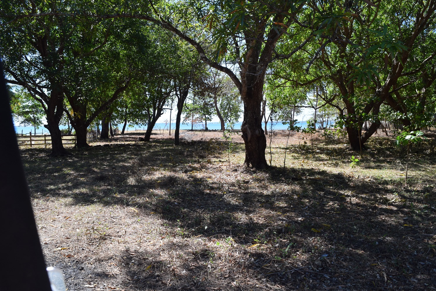 0 bed Land For Sale in Samara, Guanacaste - thumb 11