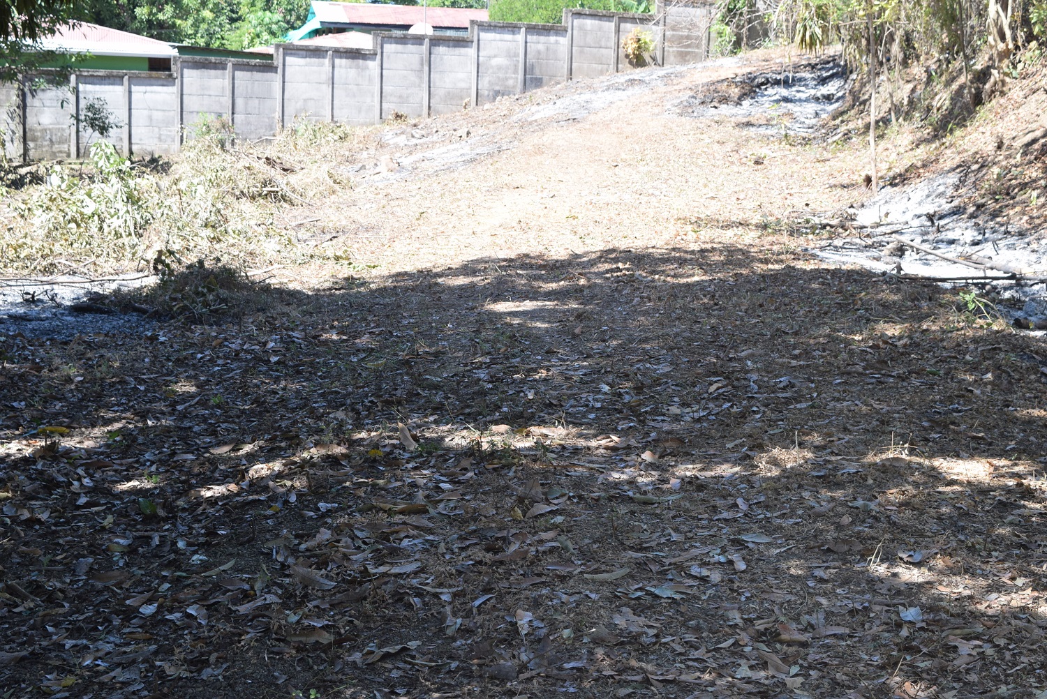 0 bed Land For Sale in Samara, Guanacaste - thumb 5