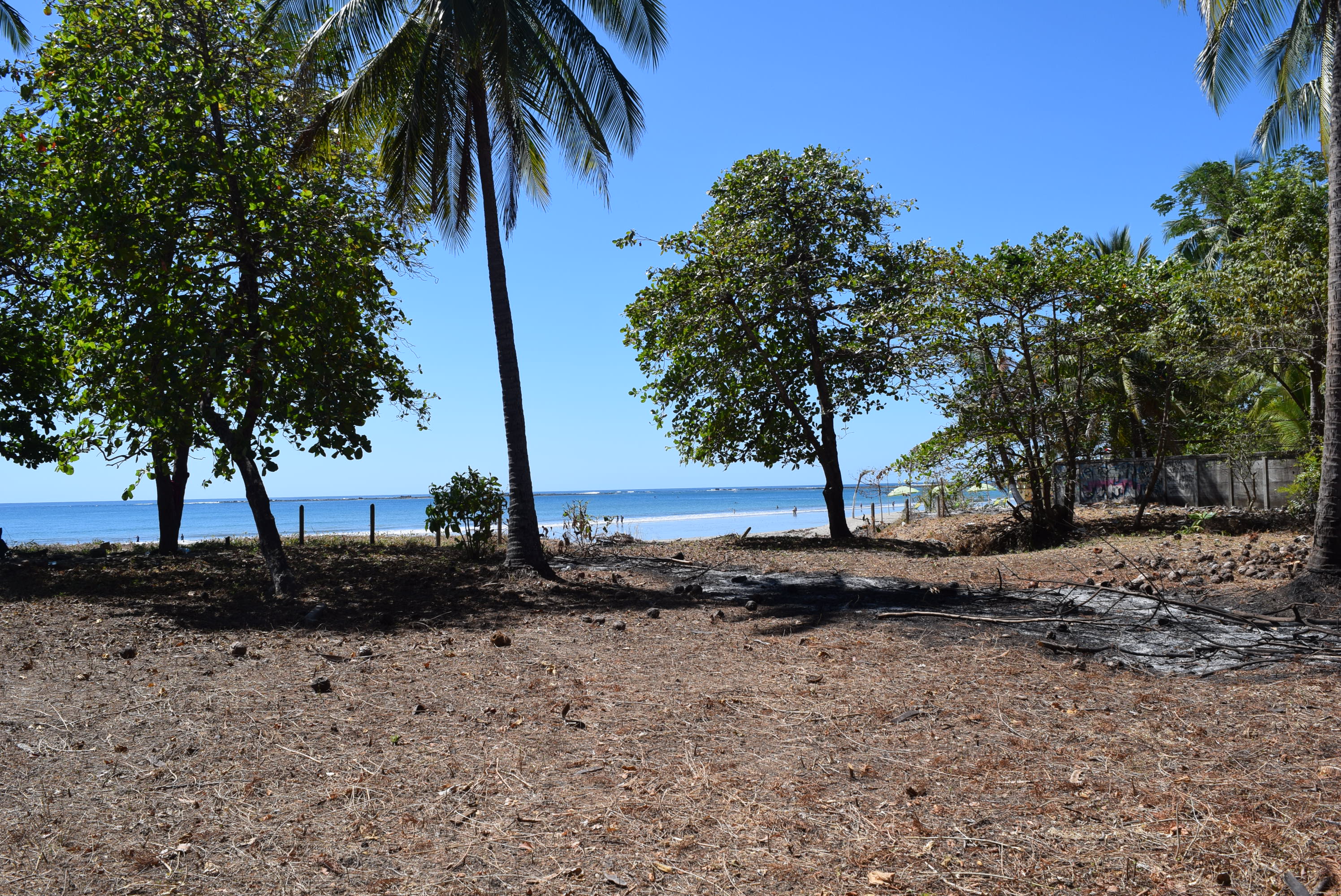 0 bed Land For Sale in Samara, Guanacaste - thumb 1