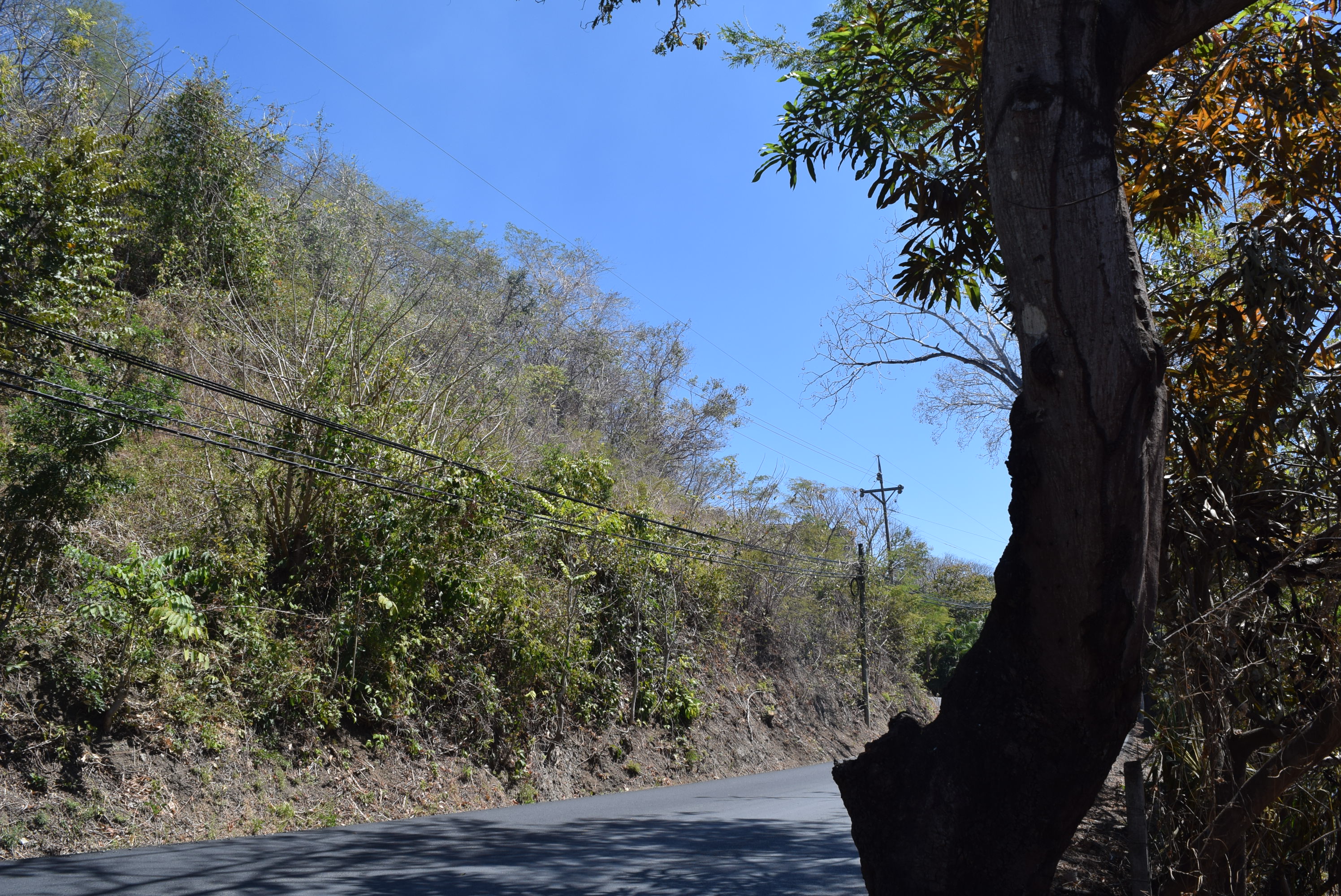 0 bed Land For Sale in Samara, Guanacaste - thumb 4