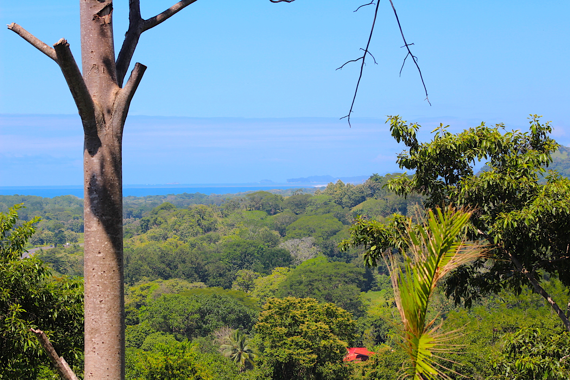 3 bed Single Family Homes For Sale in Dominical, Puntarenas - thumb 29