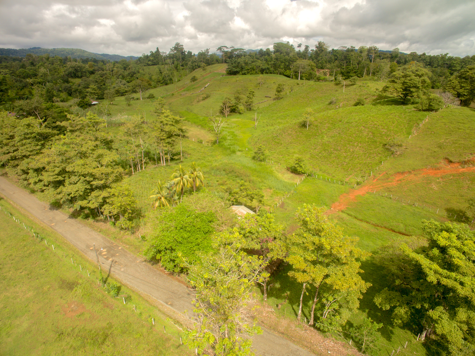 0 bed Land For Sale in Puerto Jimenez, Puntarenas - thumb 16