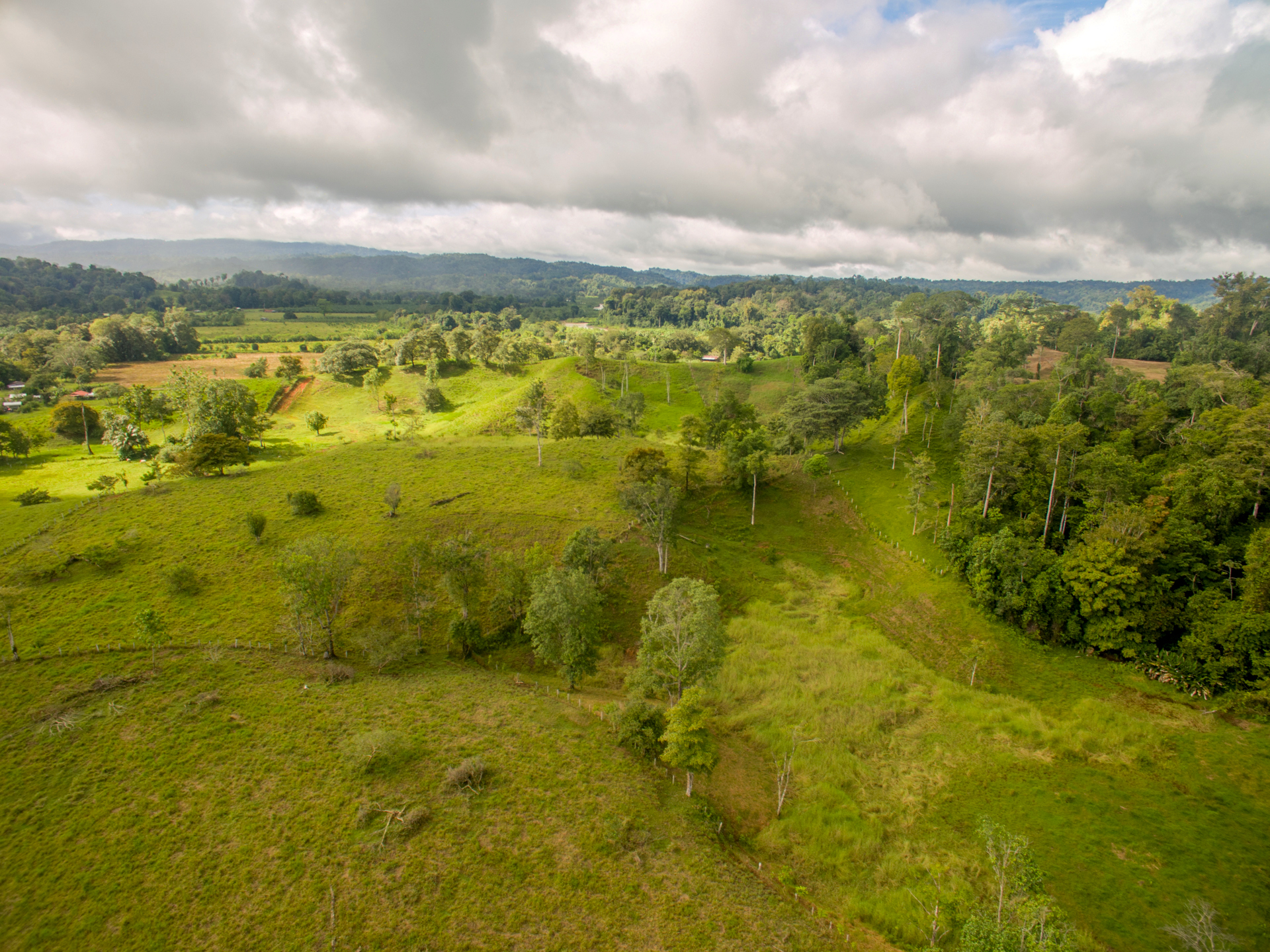 0 bed Land For Sale in Puerto Jimenez, Puntarenas - thumb 18