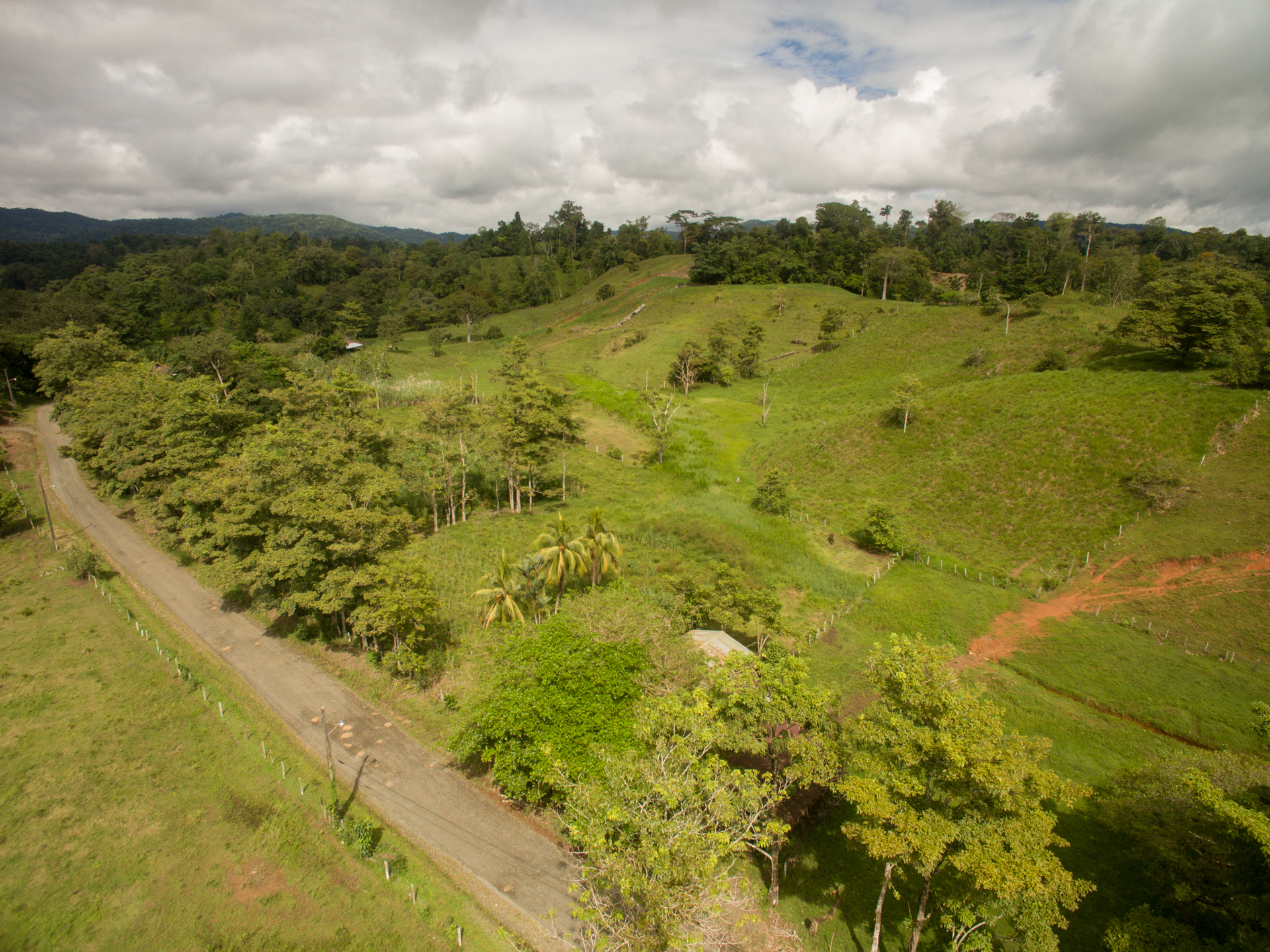 0 bed Land For Sale in Puerto Jimenez, Puntarenas - thumb 19