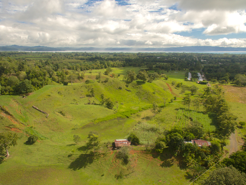 0 bed Land For Sale in Puerto Jimenez, Puntarenas - 1
