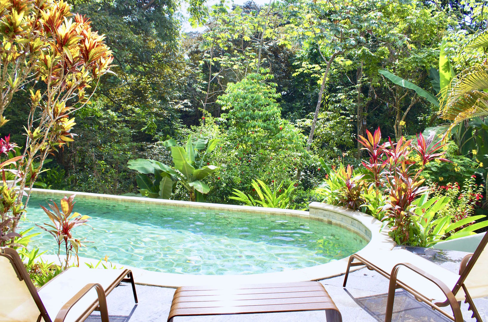 4 bed Single Family Homes For Sale in Manuel Antonio, Puntarenas - thumb 19