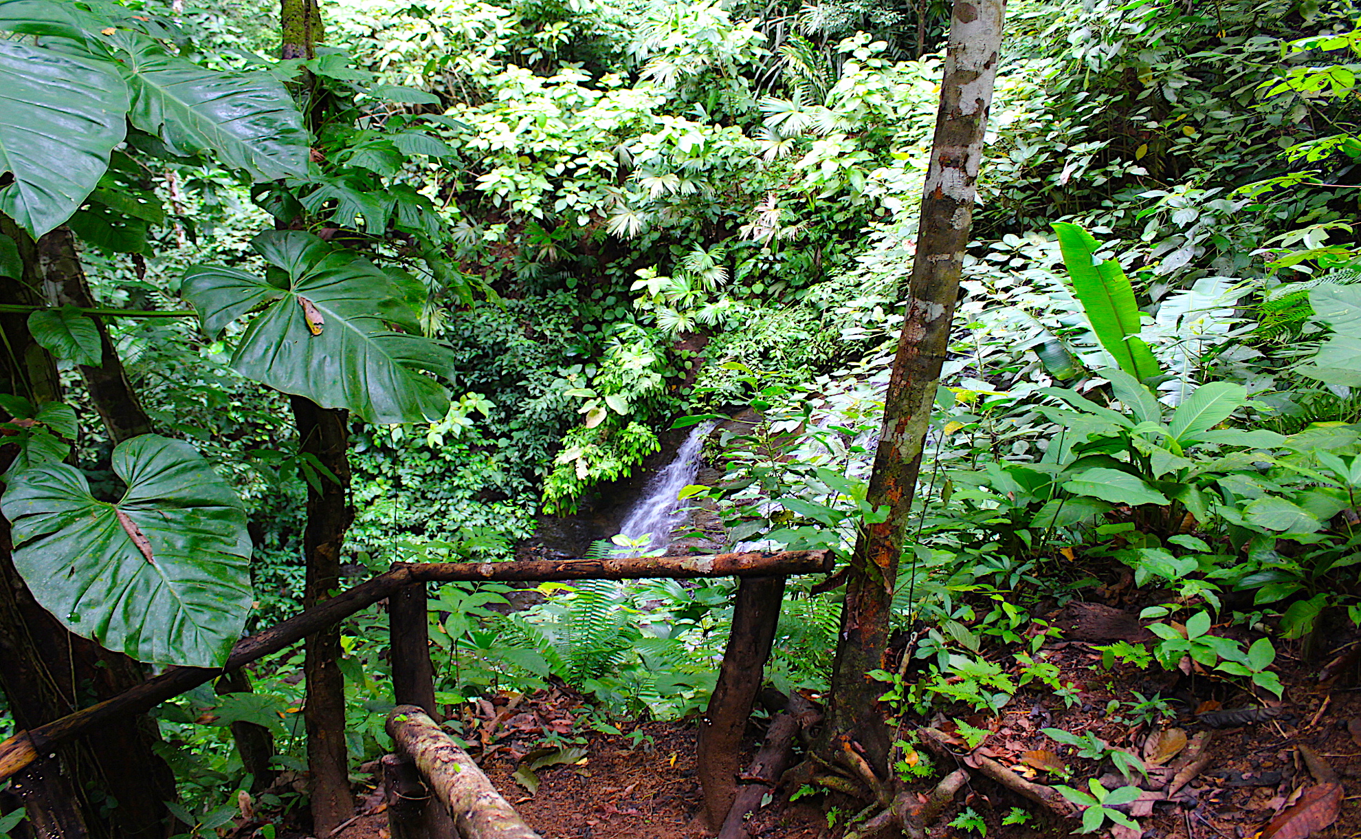 0 bed Land For Sale in Dominical, Puntarenas - thumb 6