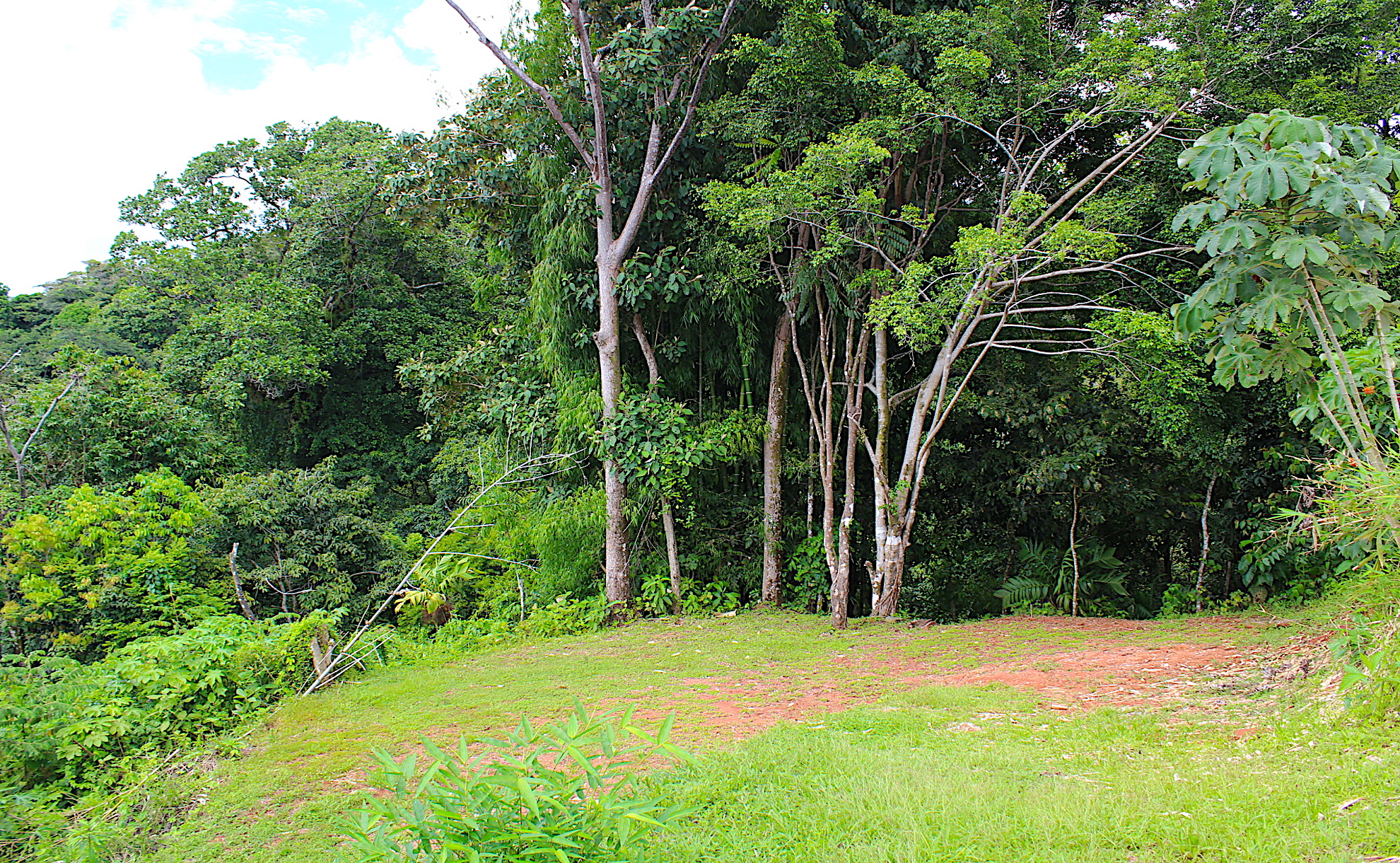 0 bed Land For Sale in Dominical, Puntarenas - thumb 4