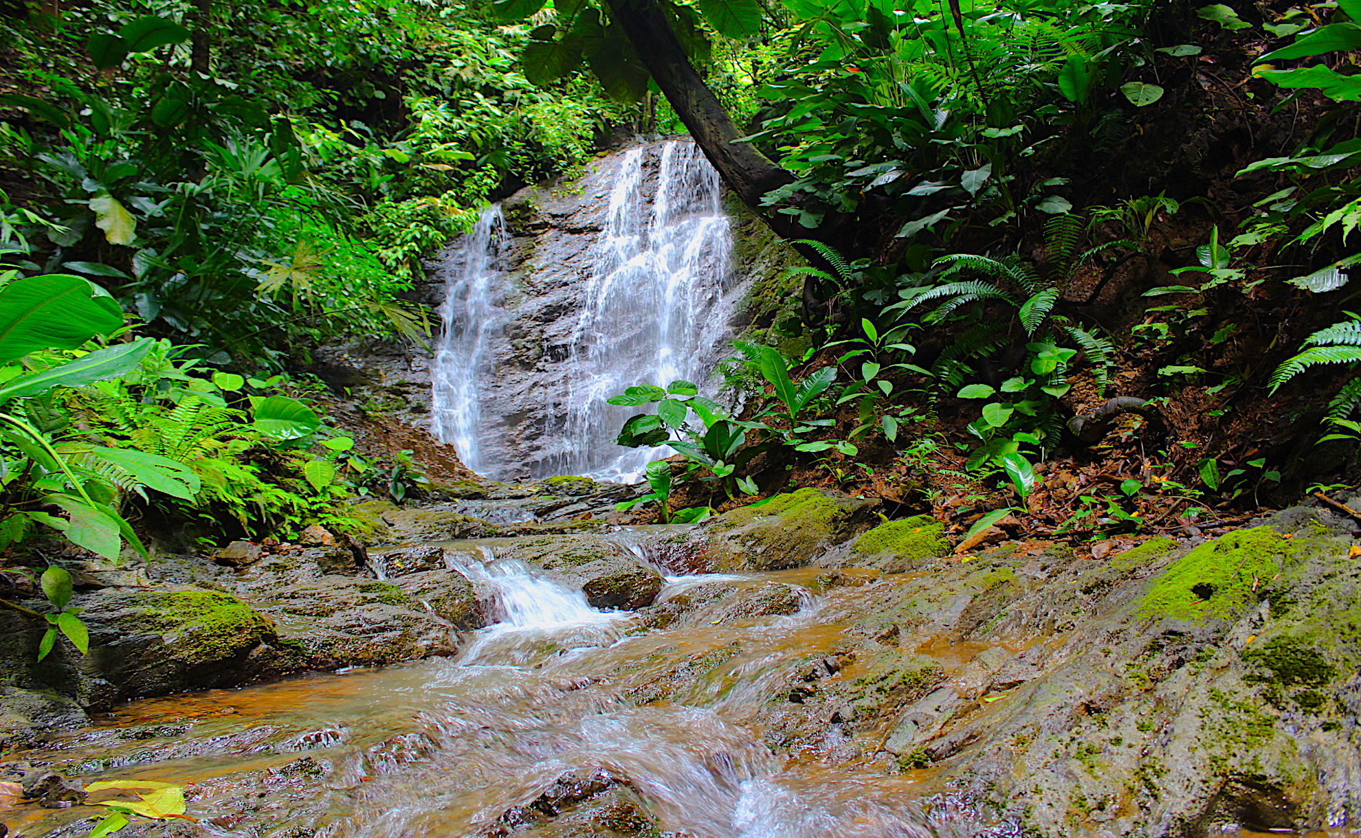 0 bed Land For Sale in Dominical, Puntarenas - thumb 2