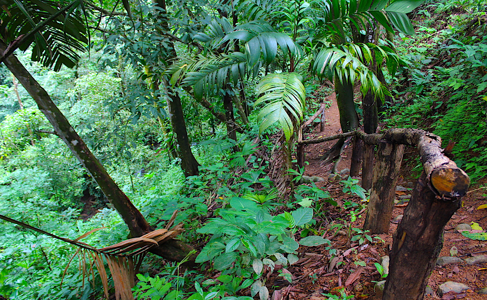 0 bed Land For Sale in Dominical, Puntarenas - thumb 9