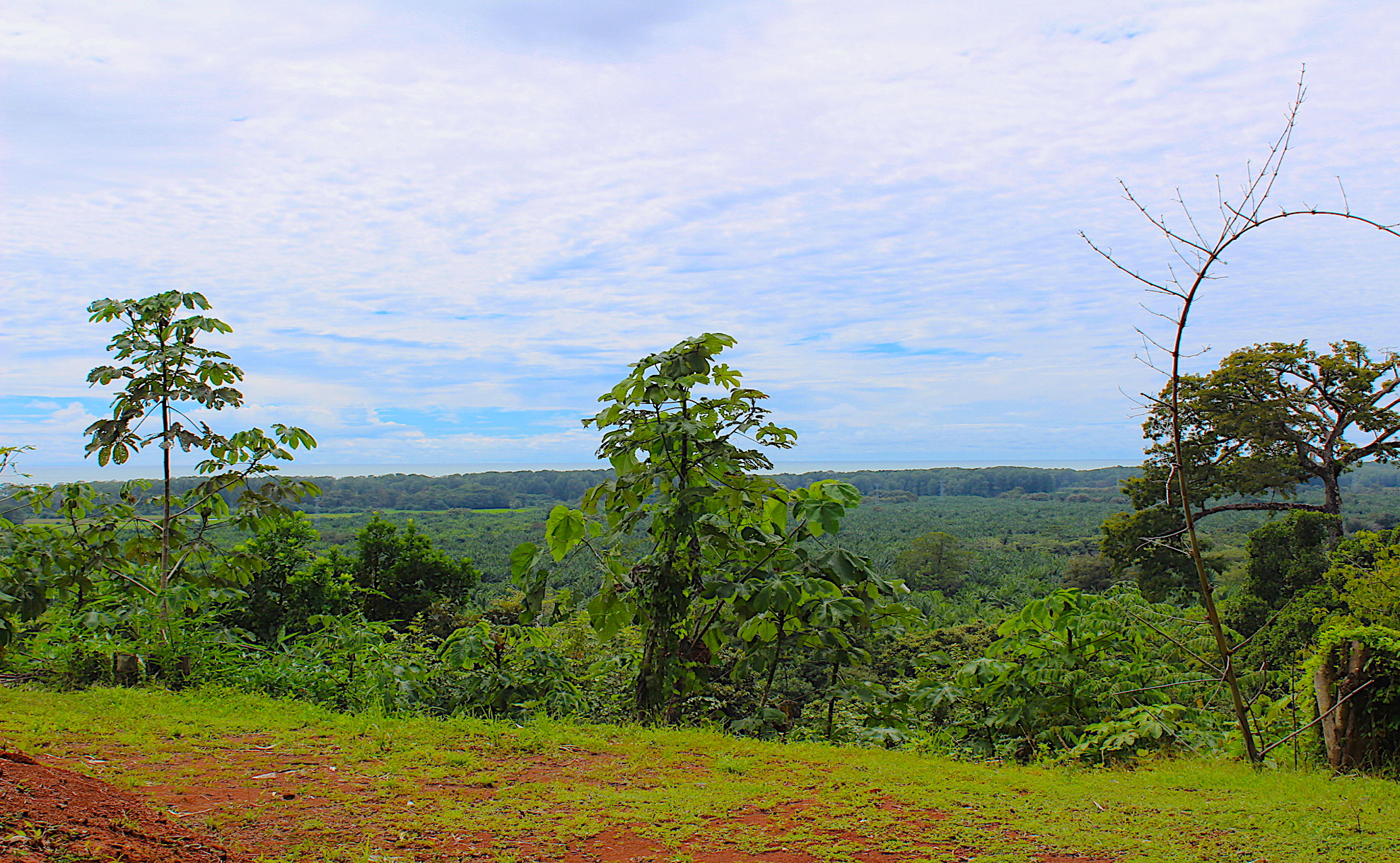 0 bed Land For Sale in Dominical, Puntarenas - thumb 3