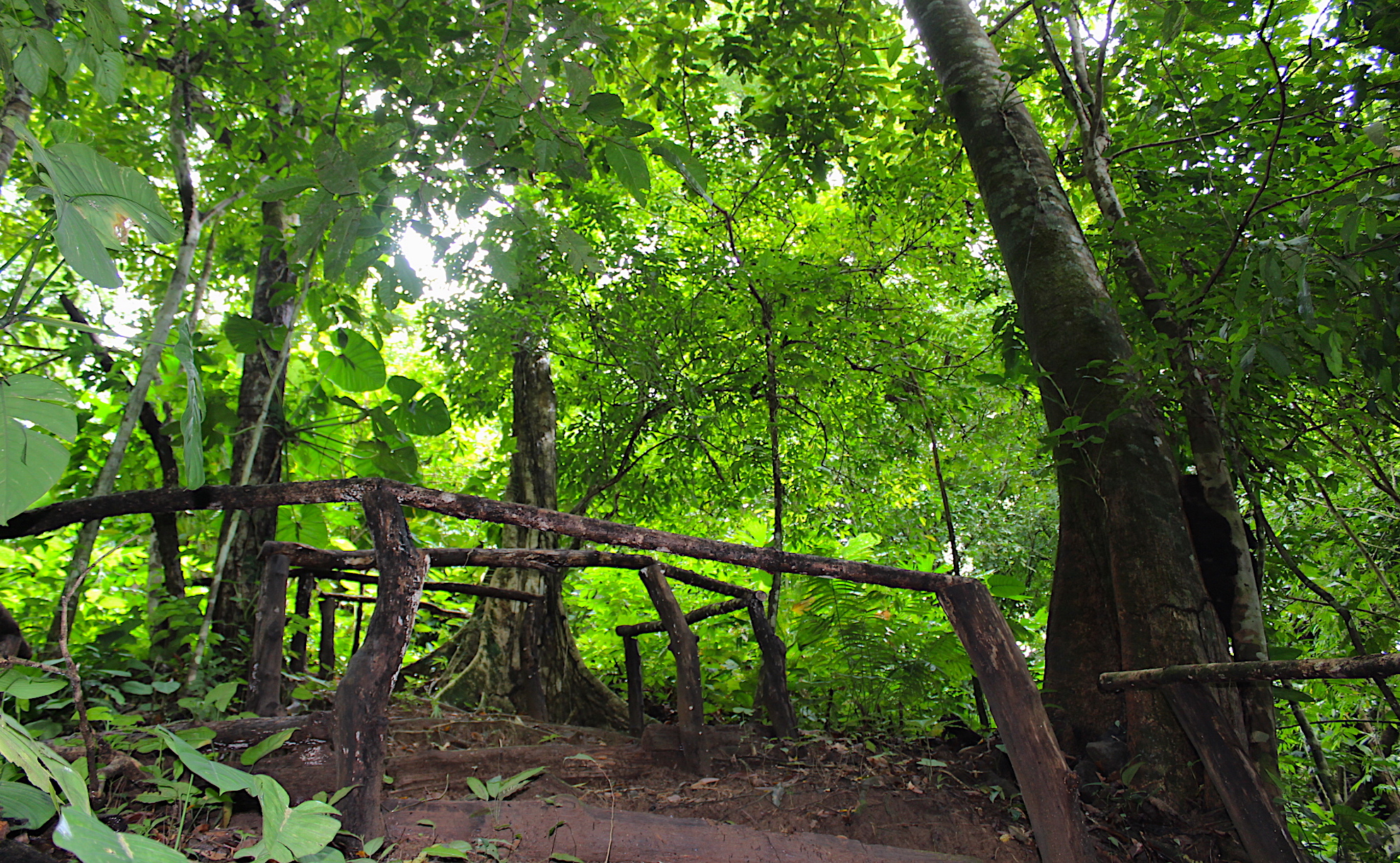 0 bed Land For Sale in Dominical, Puntarenas - thumb 10